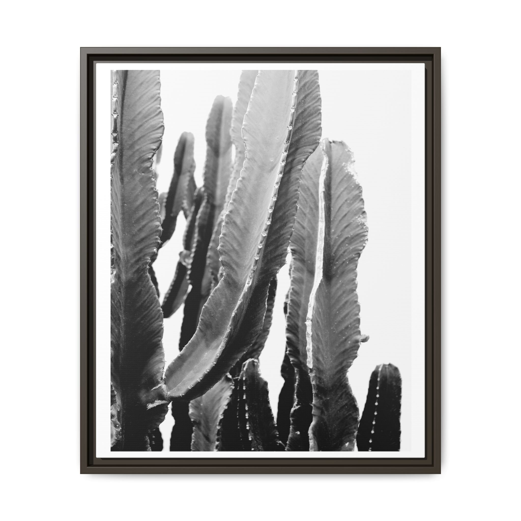 Monochrome Desert Veins - Framed