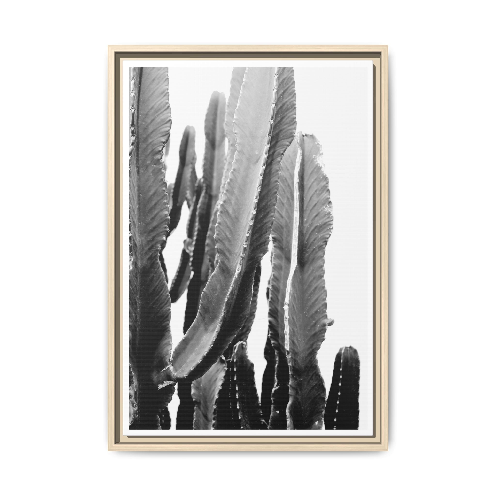 Monochrome Desert Veins - Framed