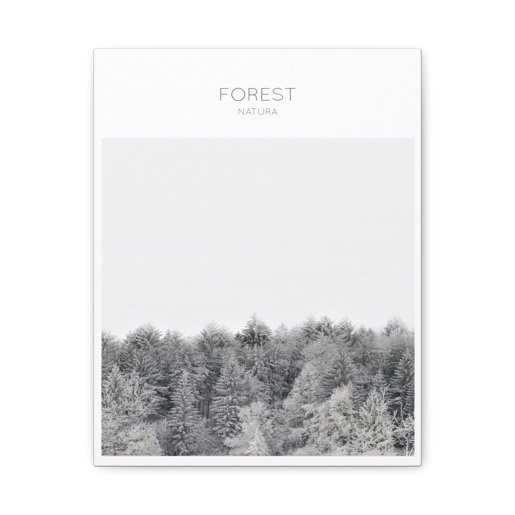 Silent Frost Canopy - Canvas