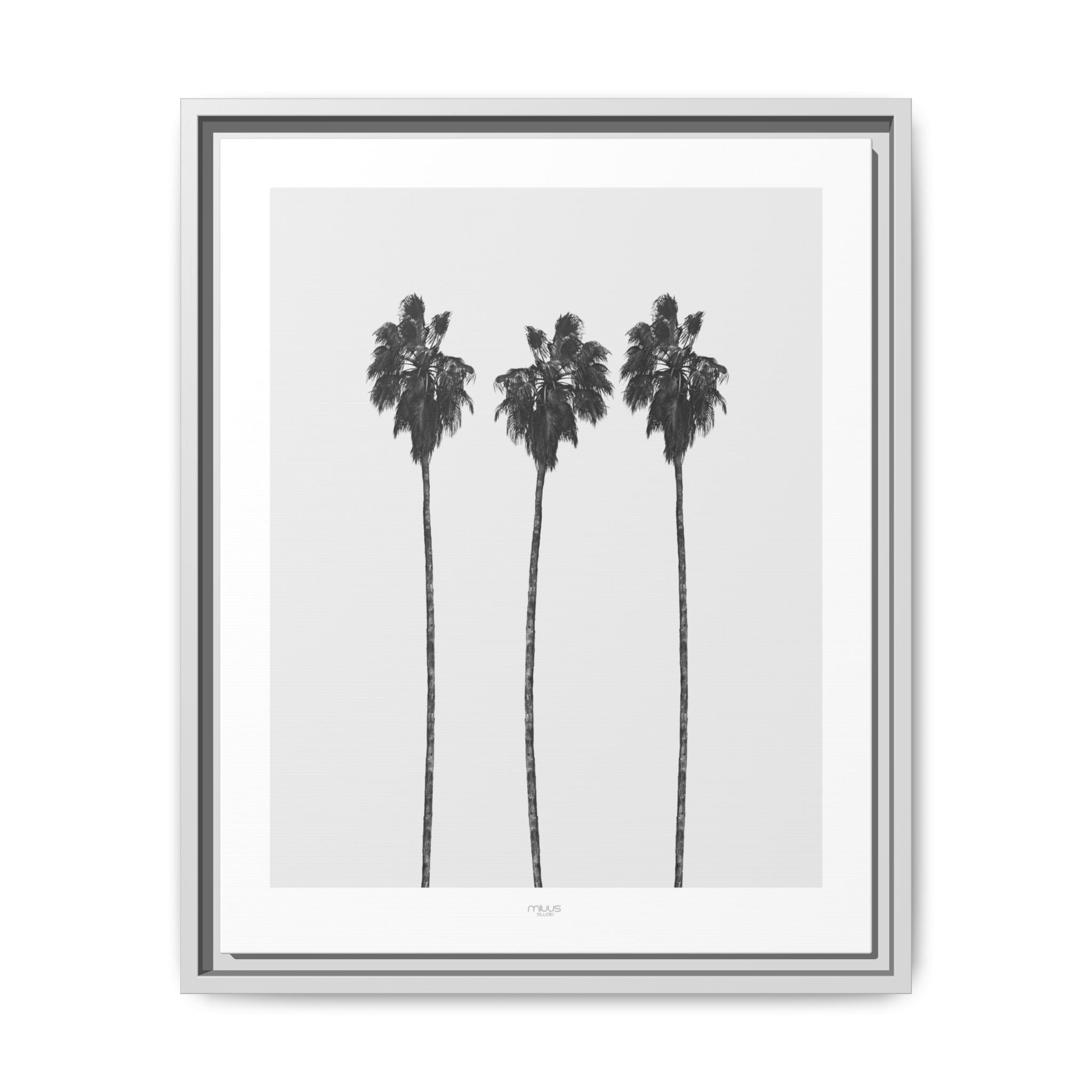 Silver Coast Palm Trio - Framed