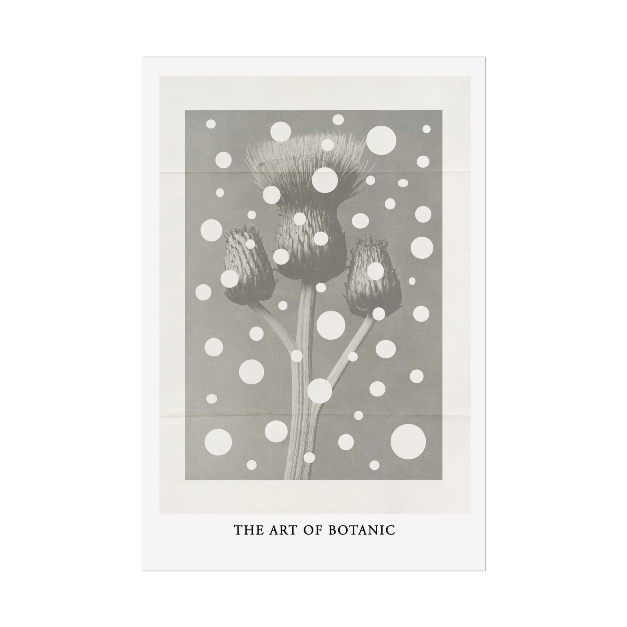 Winter Thistle Reverie - Poster