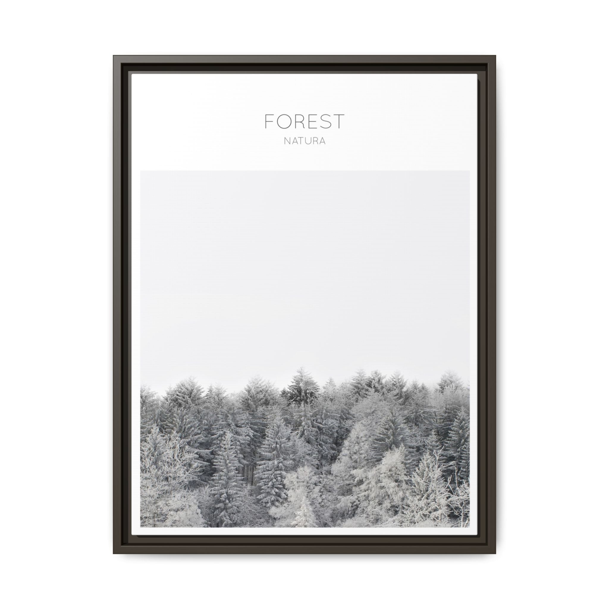 Silent Frost Canopy - Framed