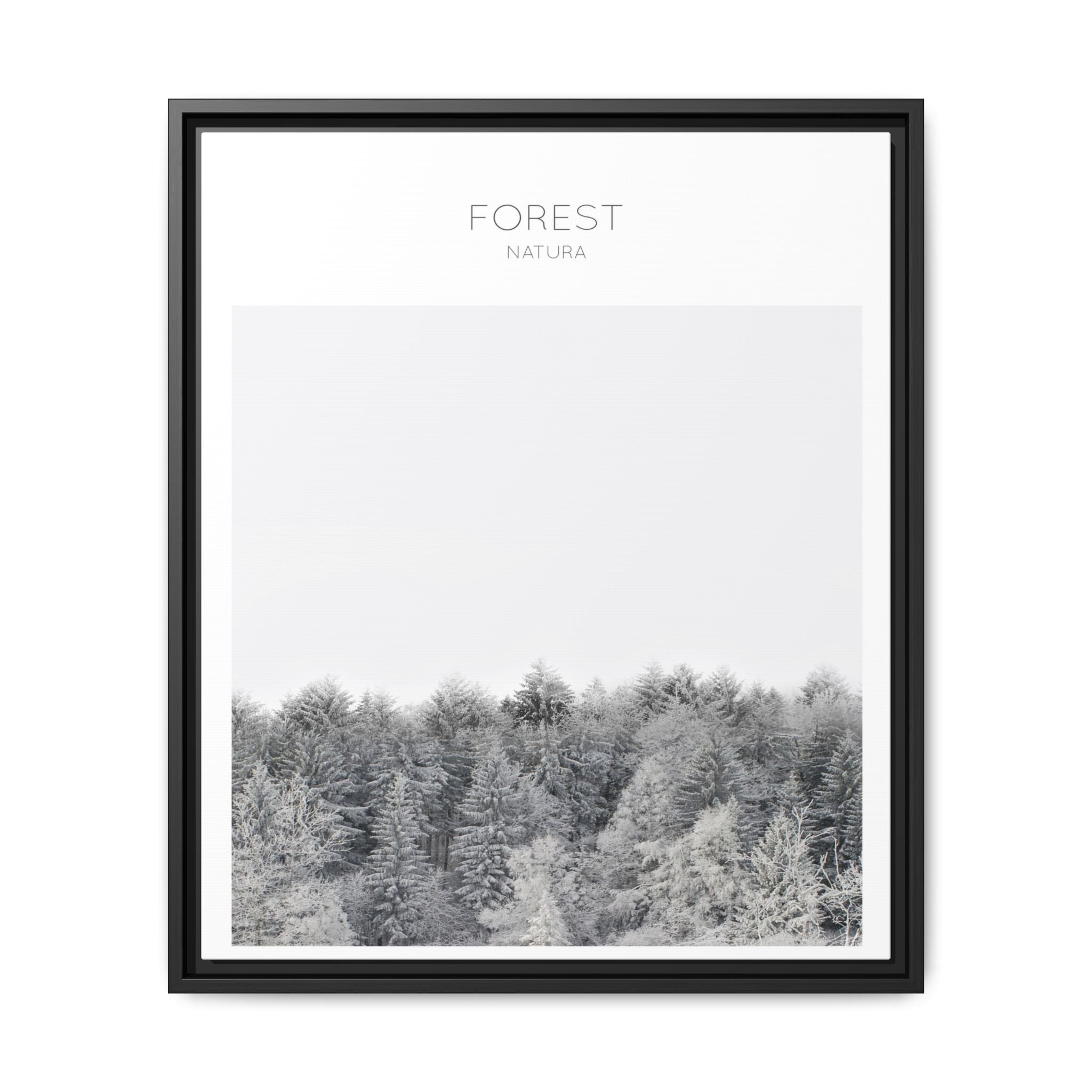 Silent Frost Canopy - Framed