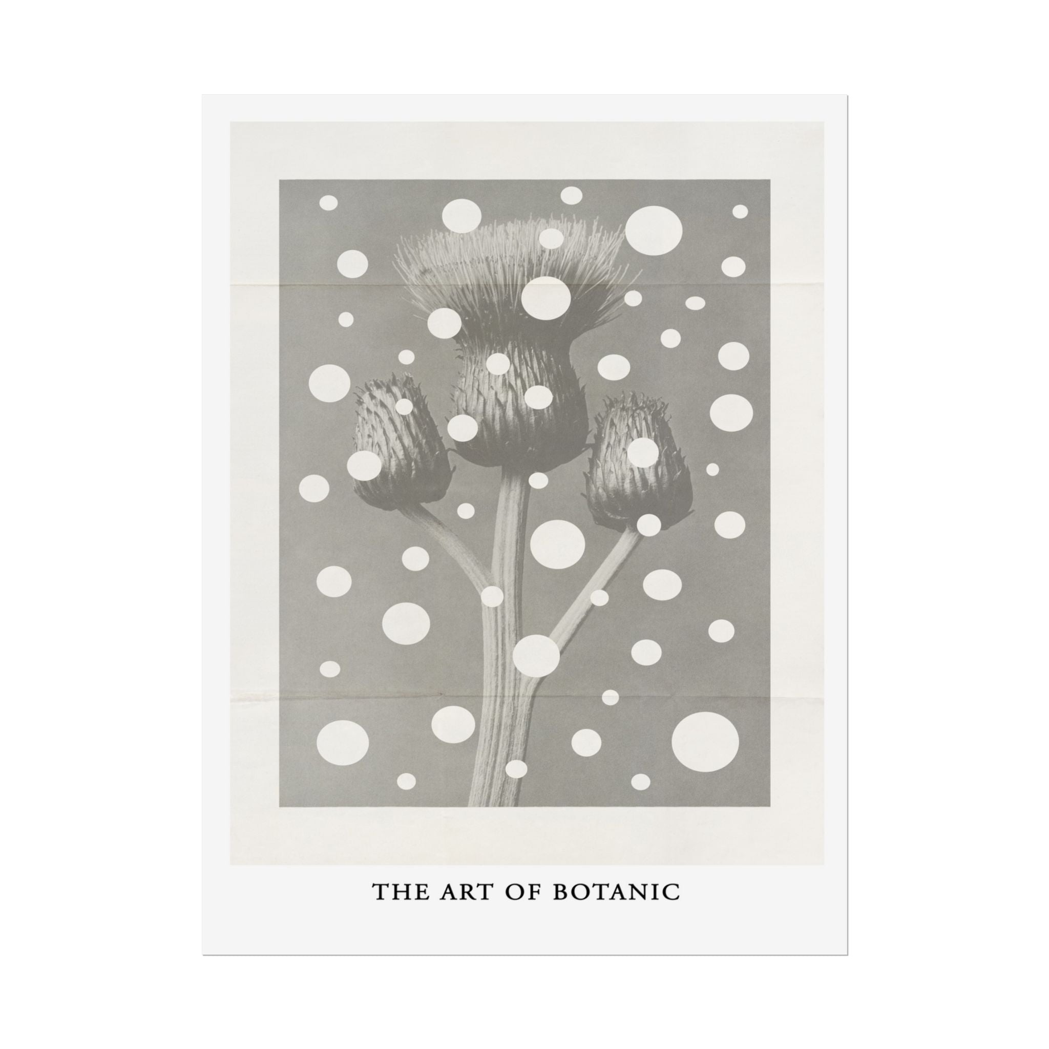 Winter Thistle Reverie - Poster
