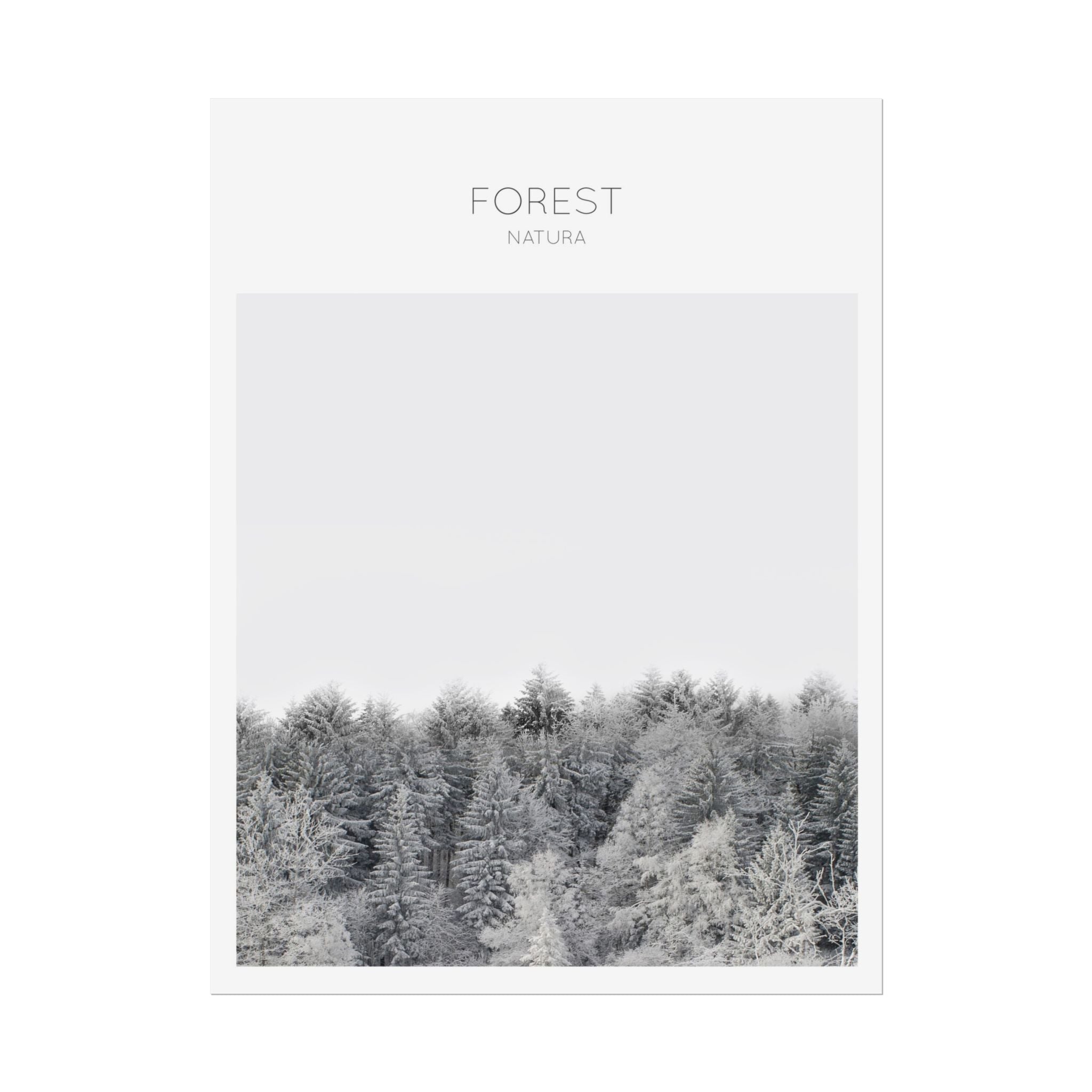Silent Frost Canopy - Poster