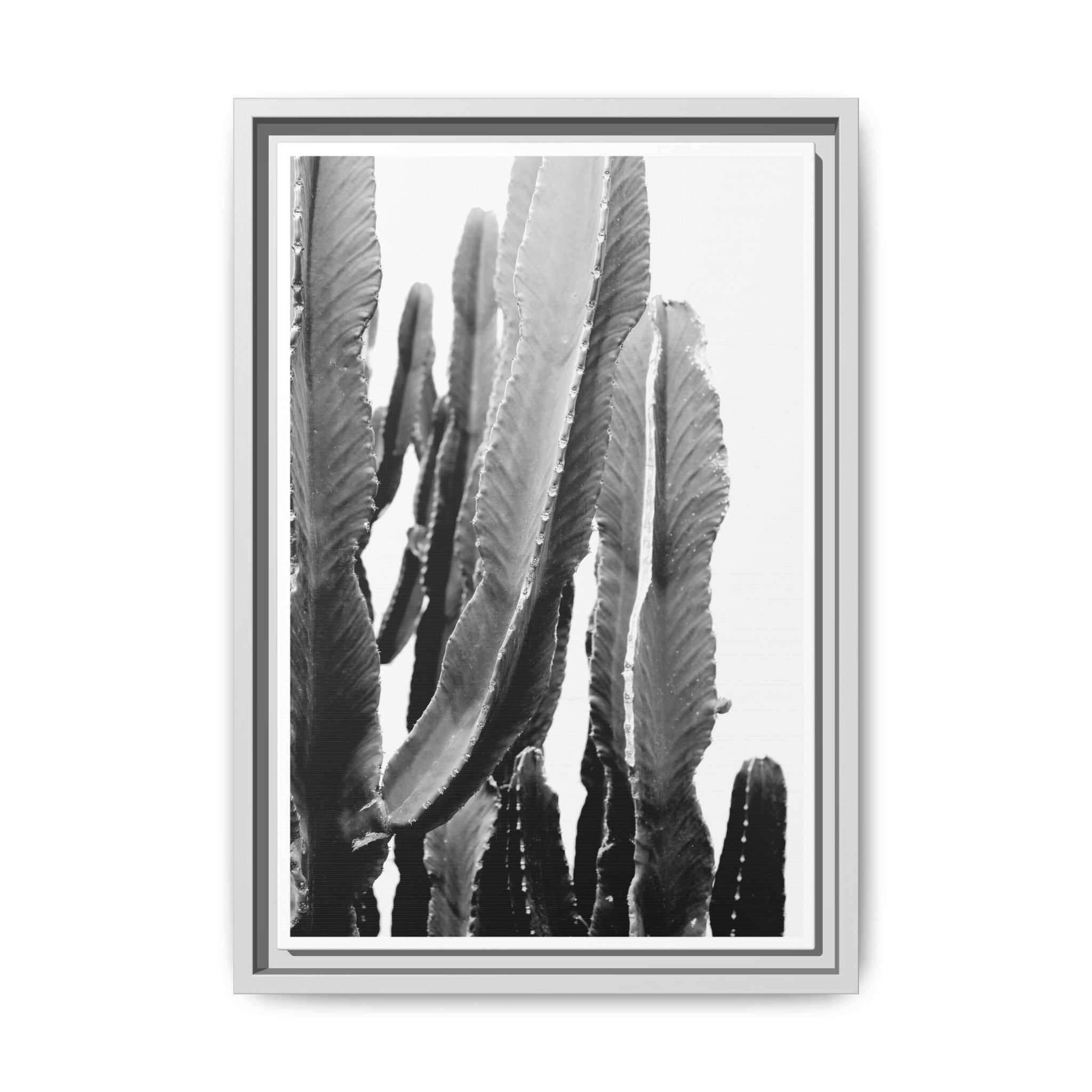 Monochrome Desert Veins - Framed
