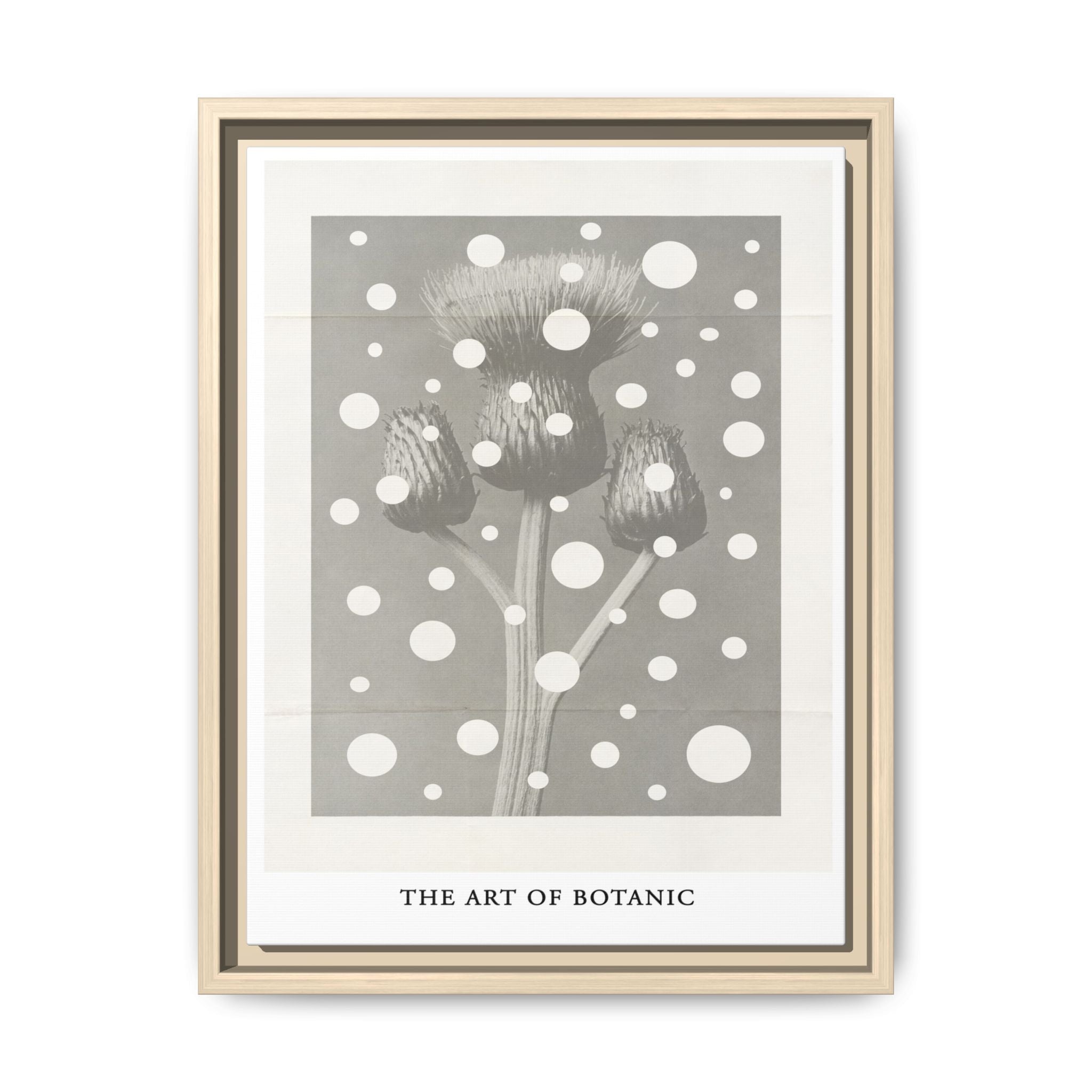 Winter Thistle Reverie - Framed