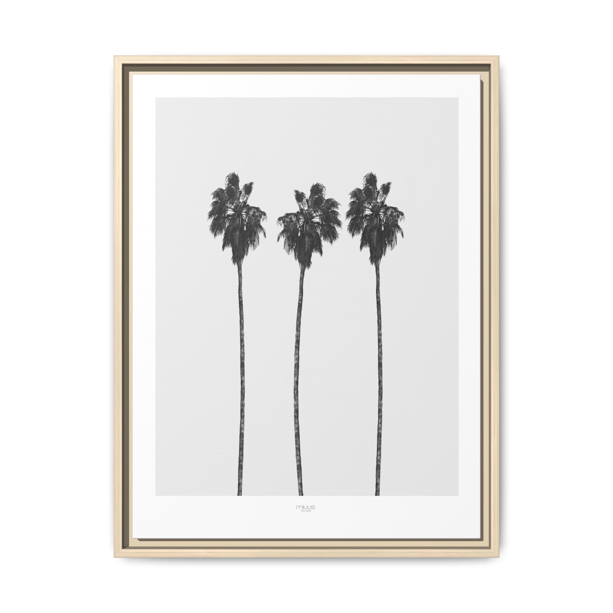 Silver Coast Palm Trio - Framed