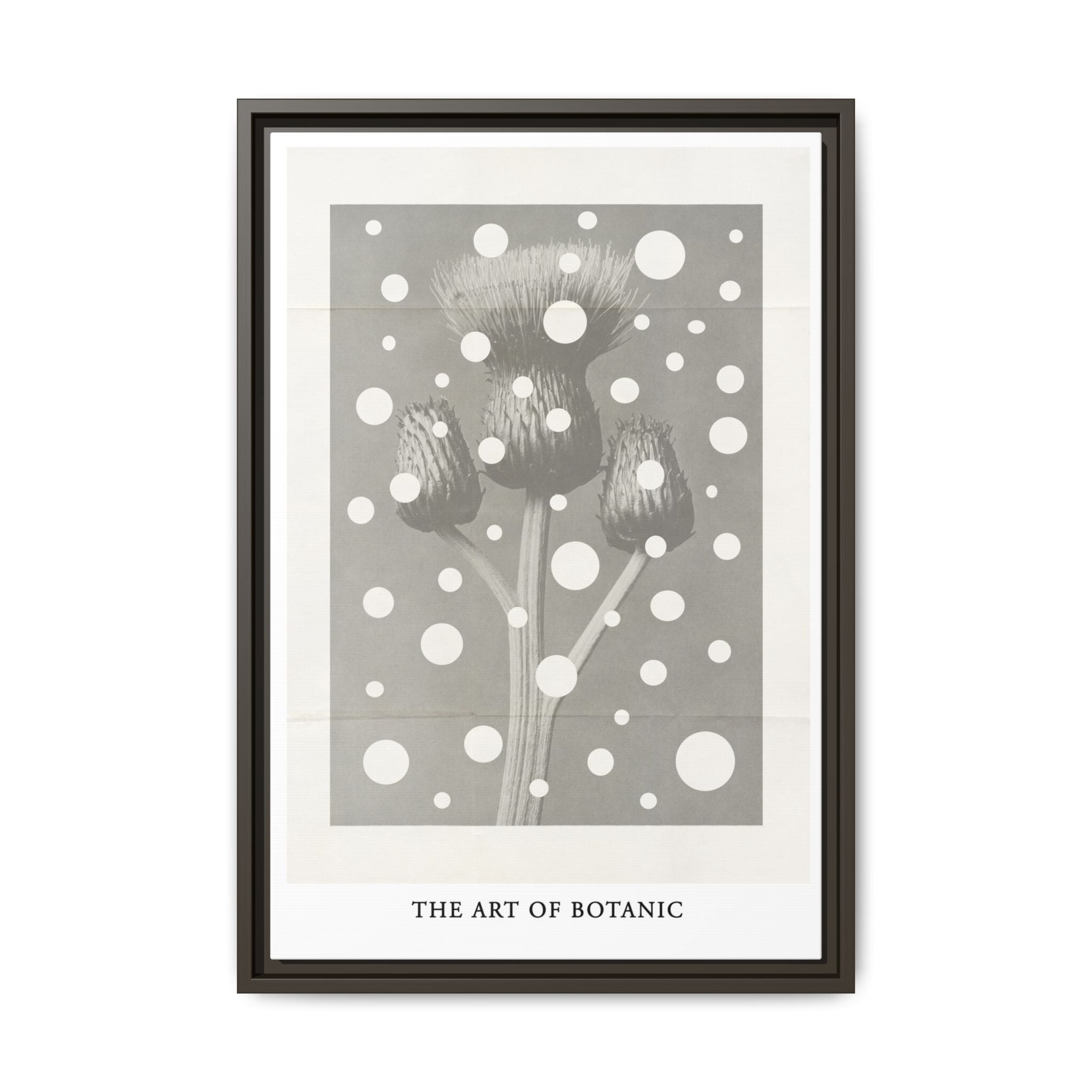 Winter Thistle Reverie - Framed