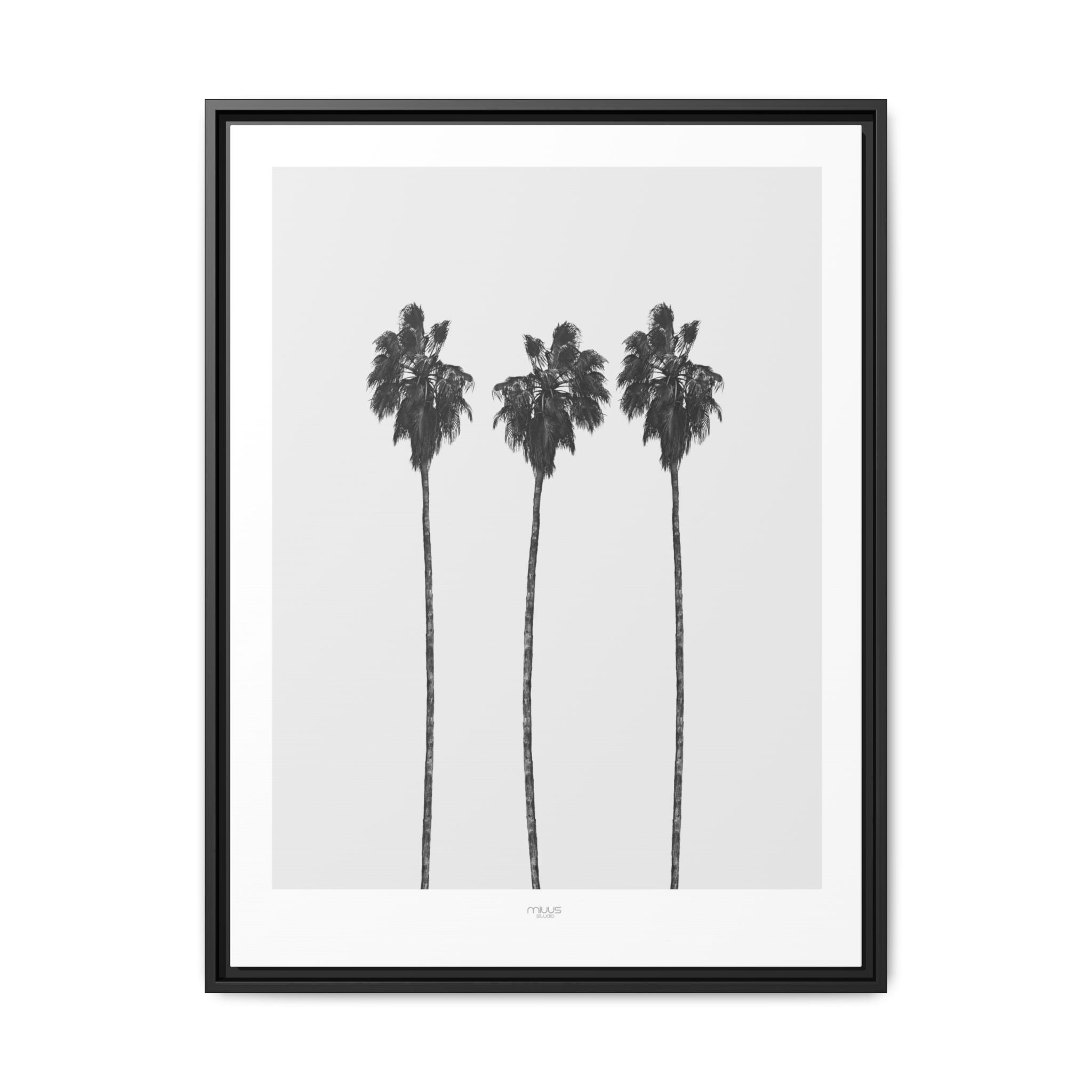 Silver Coast Palm Trio - Framed