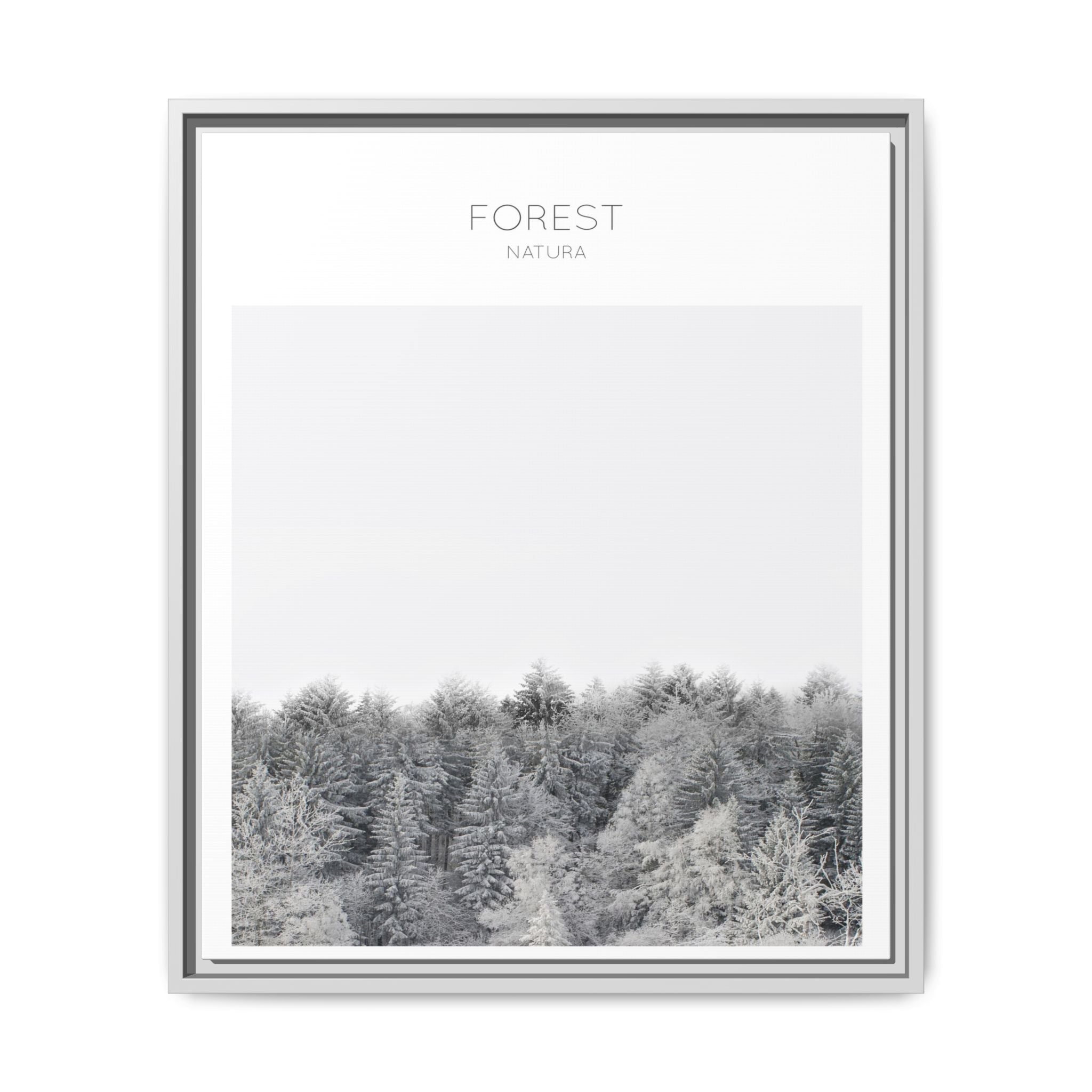 Silent Frost Canopy - Framed
