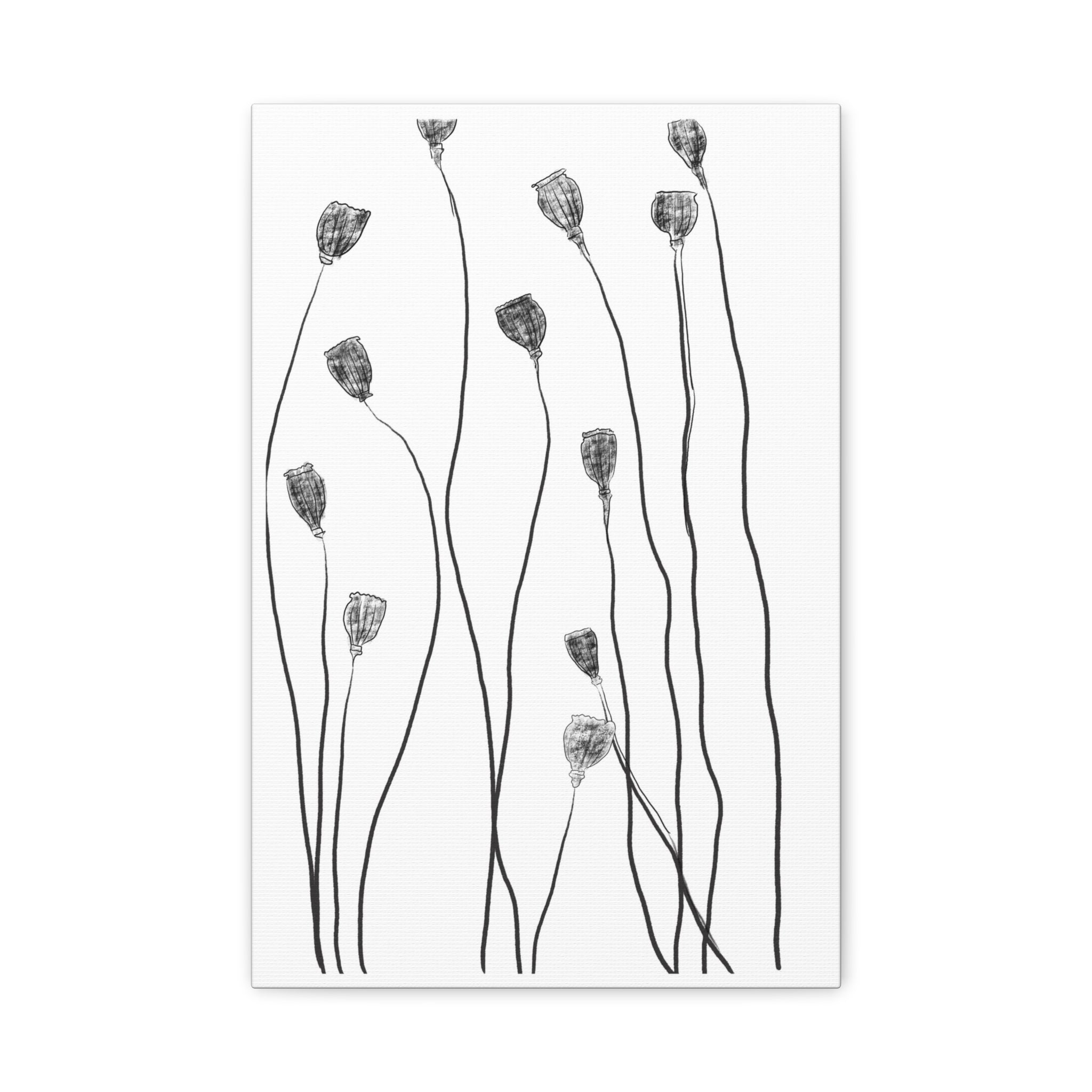 Midnight Seed Reverie - Canvas