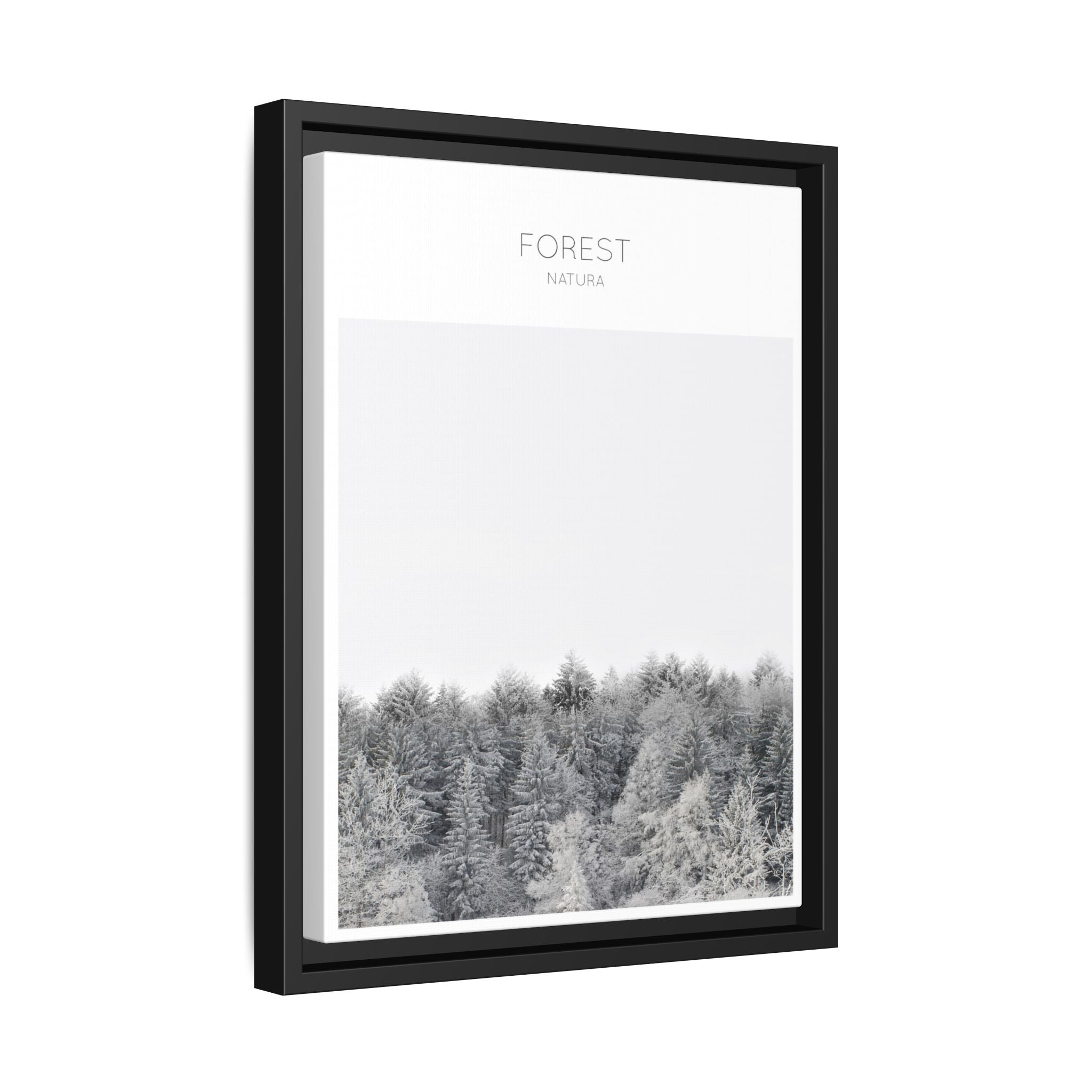 Silent Frost Canopy - Framed