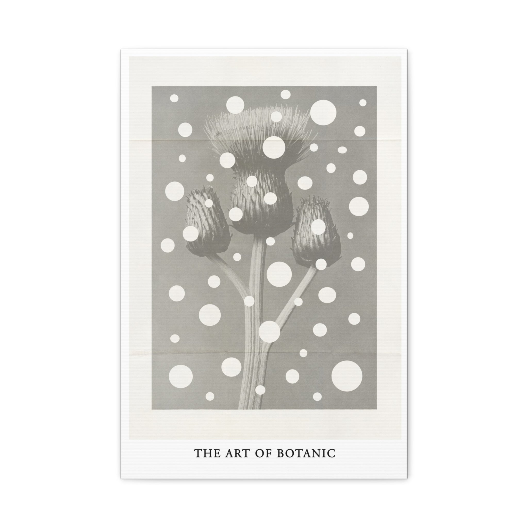 Winter Thistle Reverie - Canvas