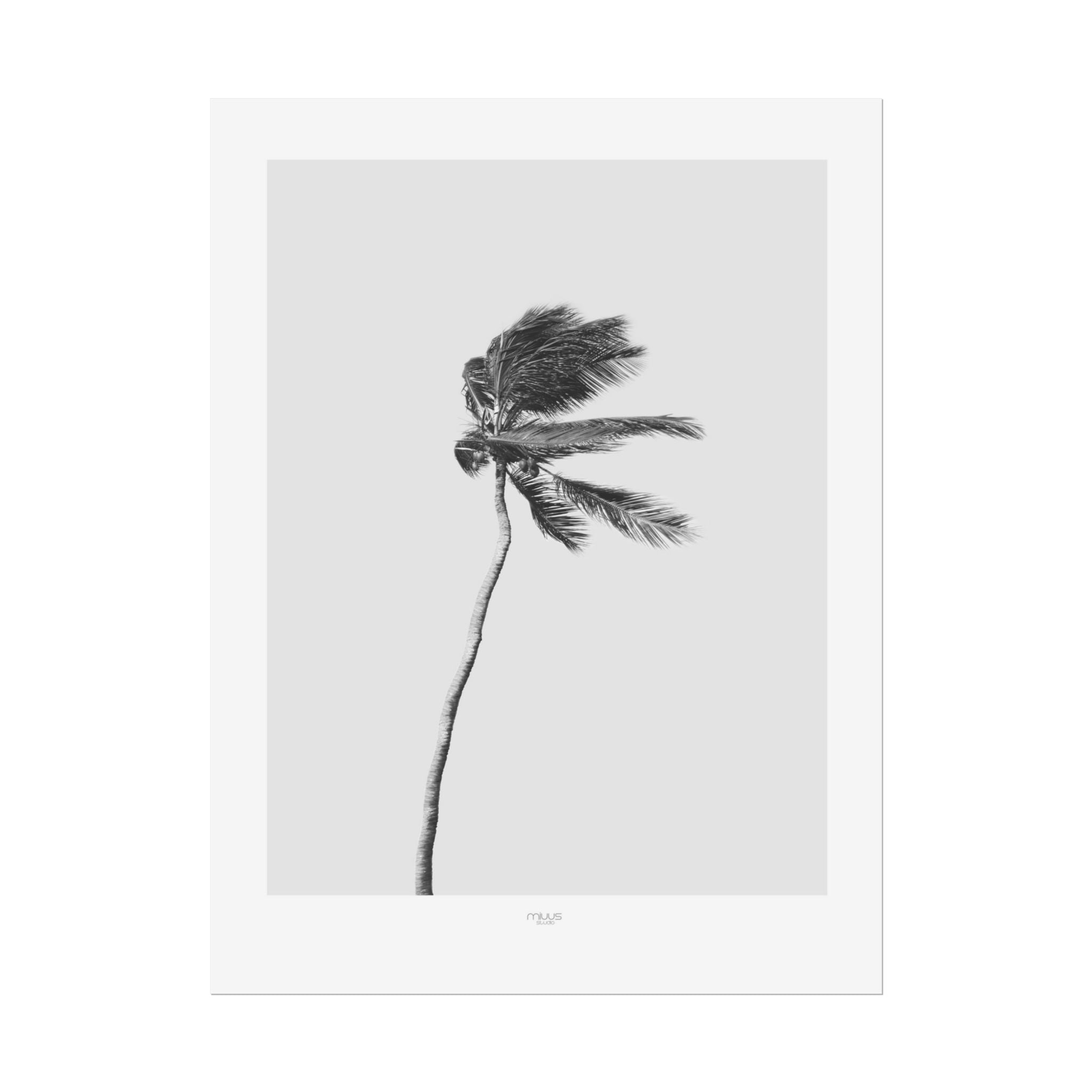 Coastal Silence Sway - Poster