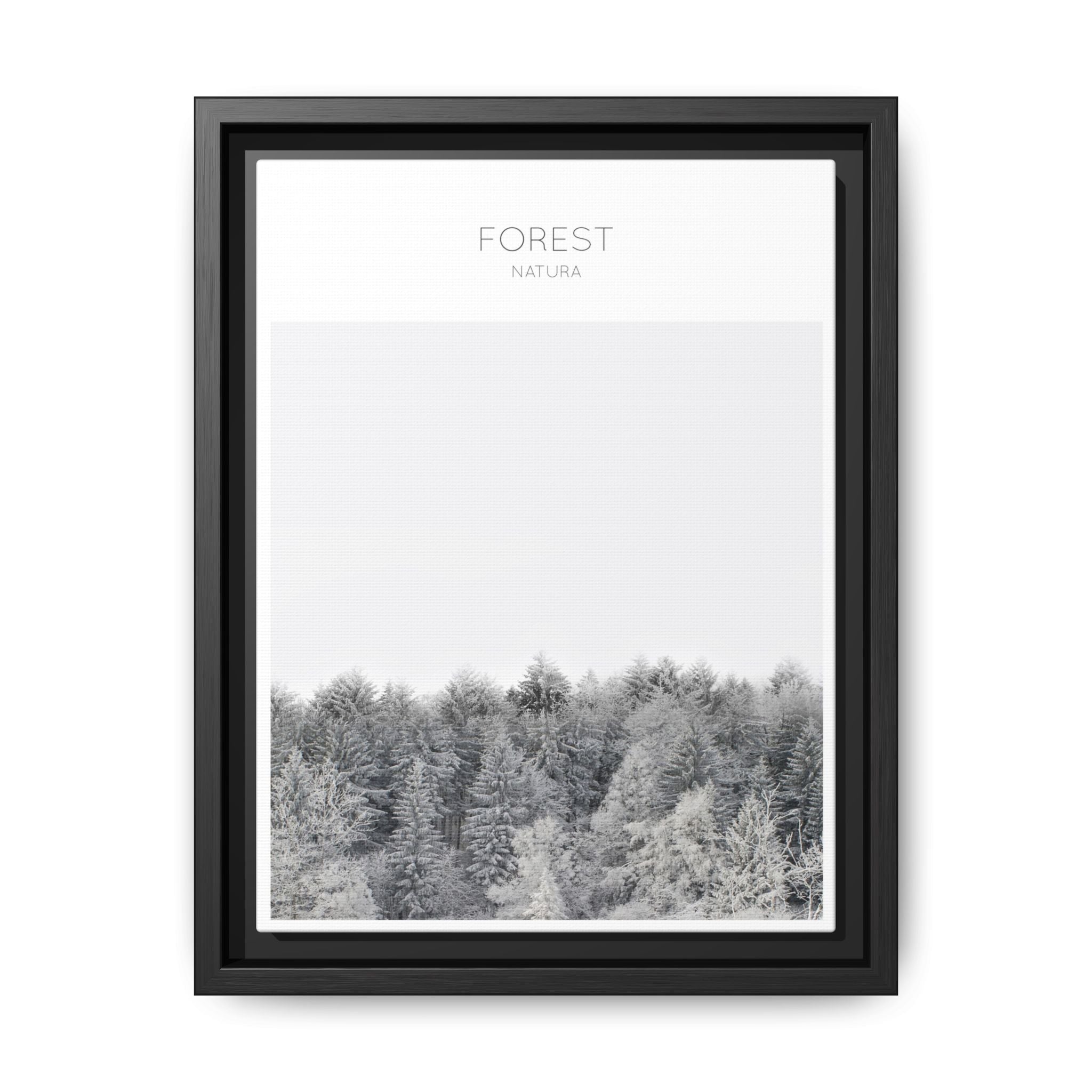 Silent Frost Canopy - Framed