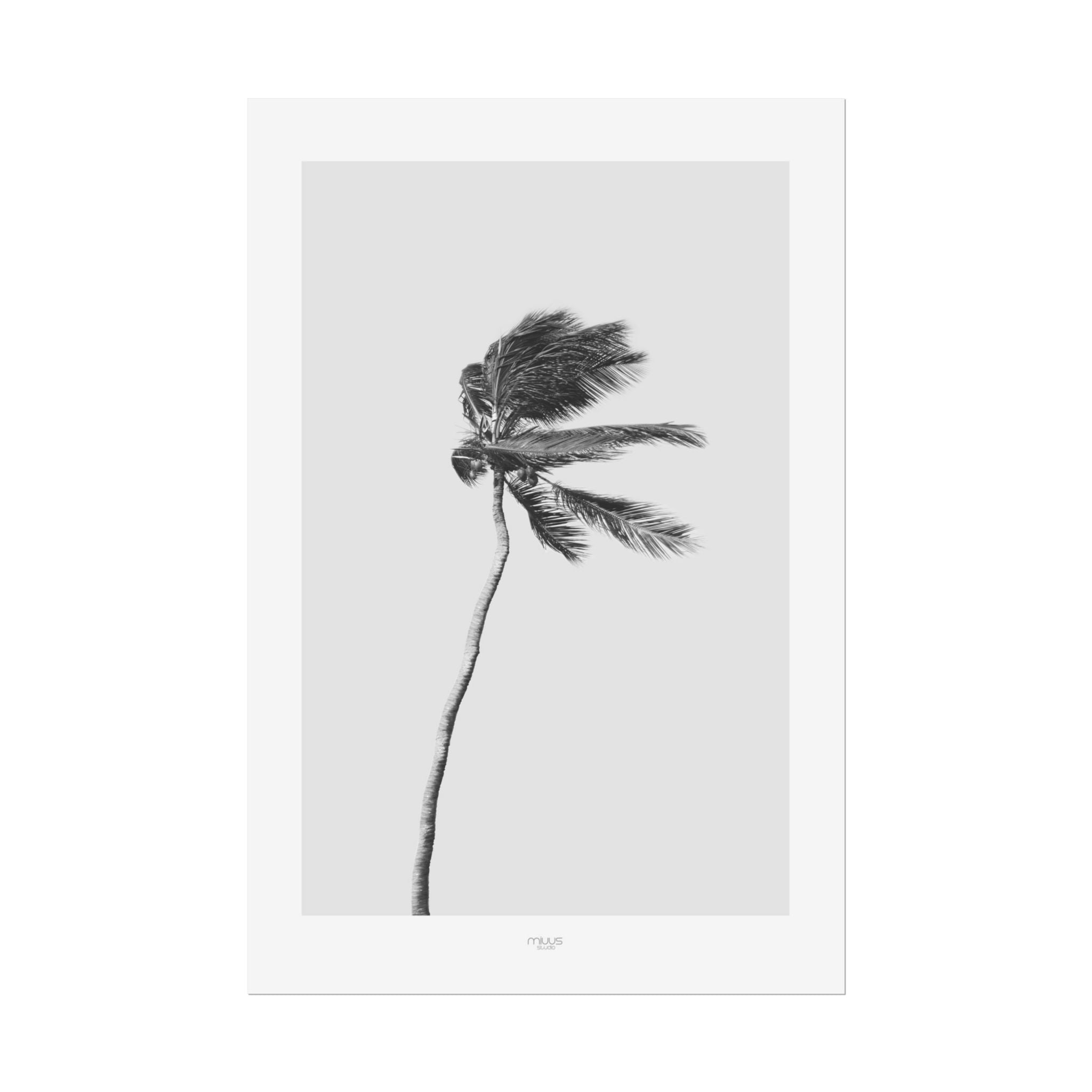 Coastal Silence Sway - Poster