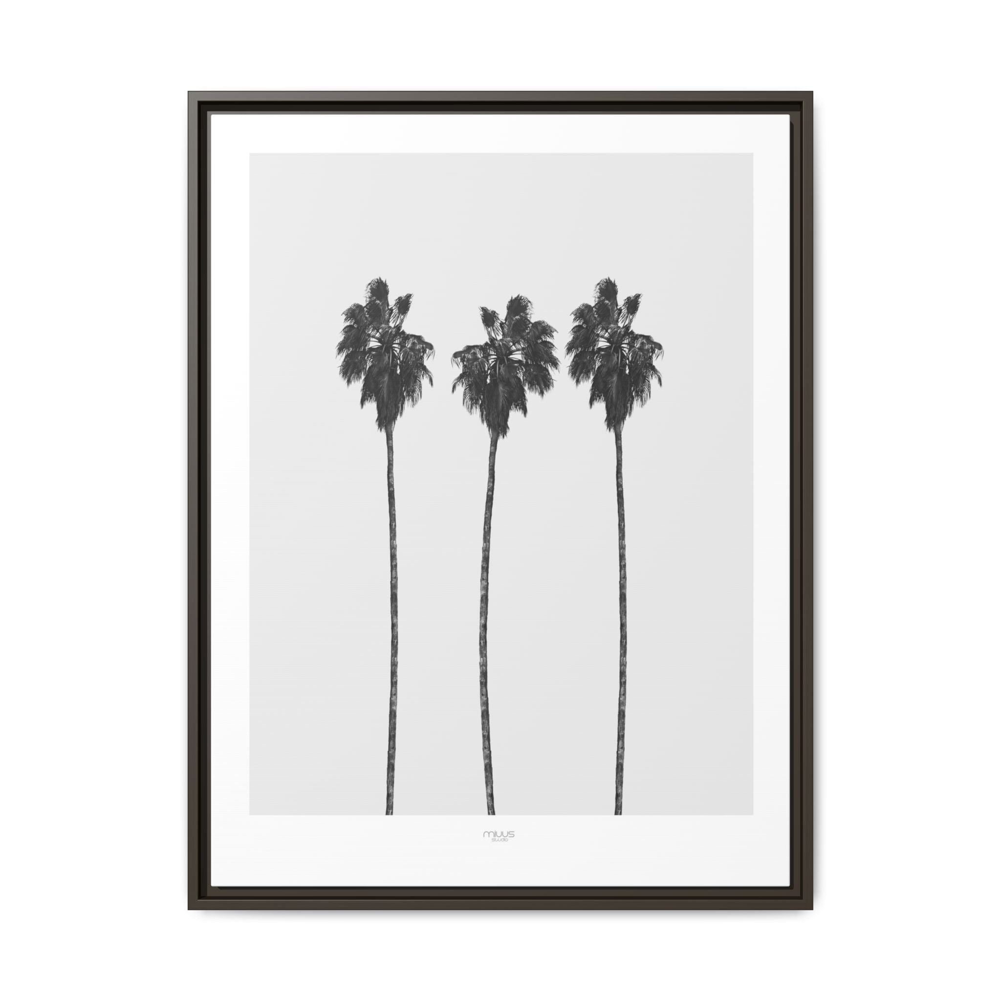 Silver Coast Palm Trio - Framed