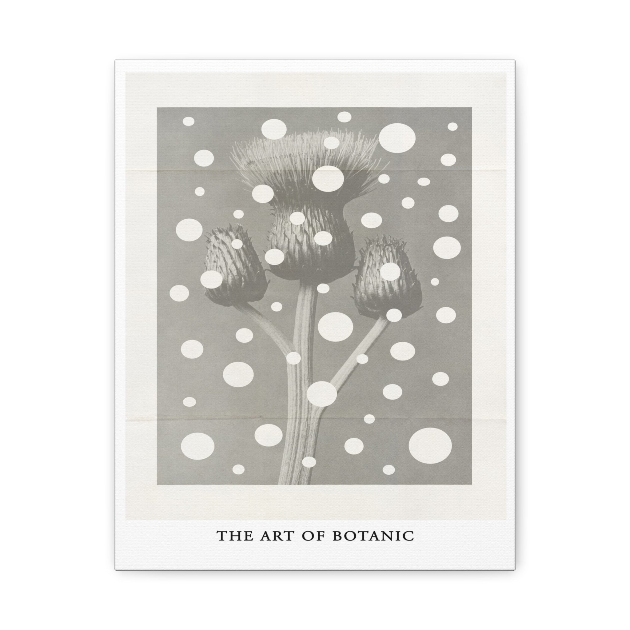 Winter Thistle Reverie - Canvas