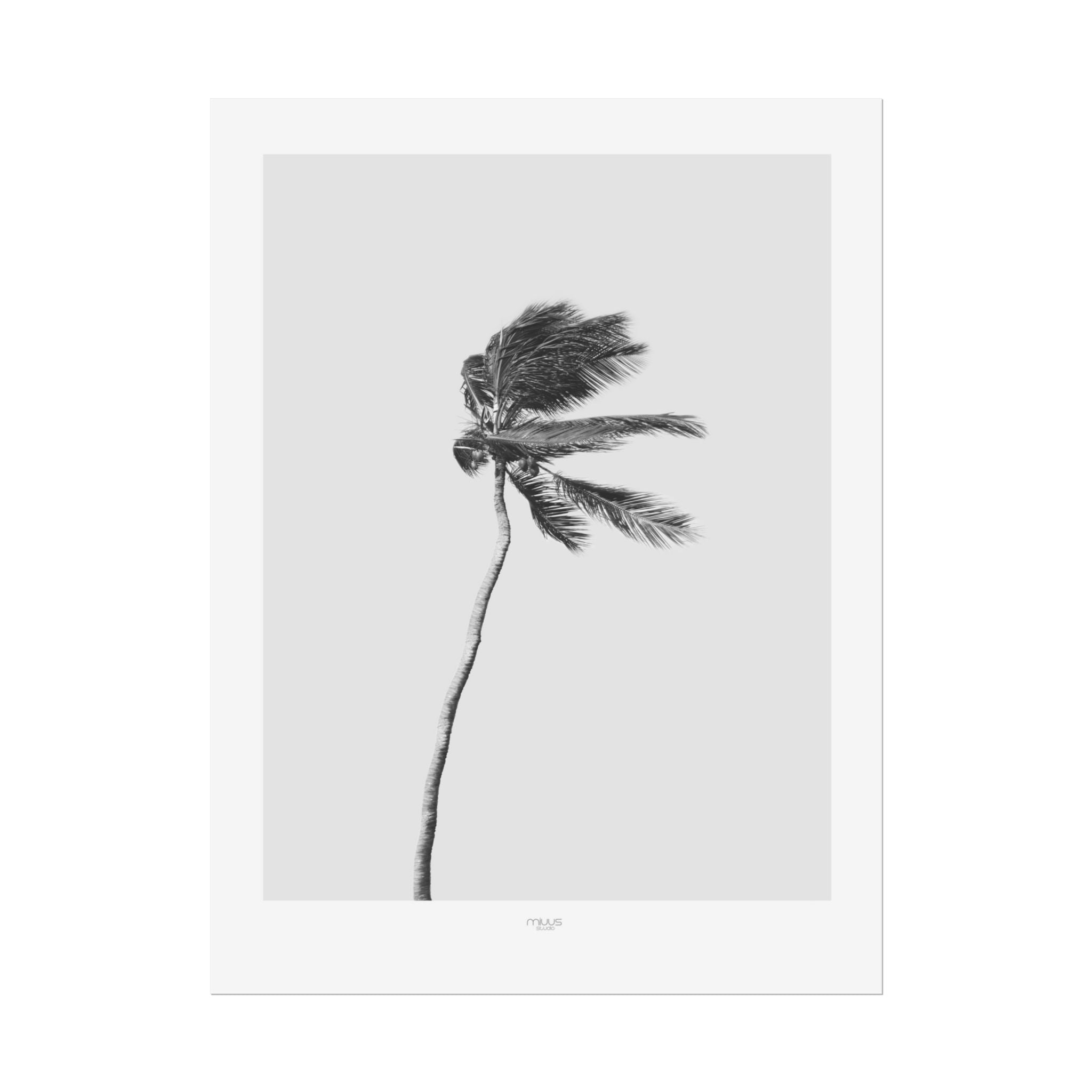 Coastal Silence Sway - Poster