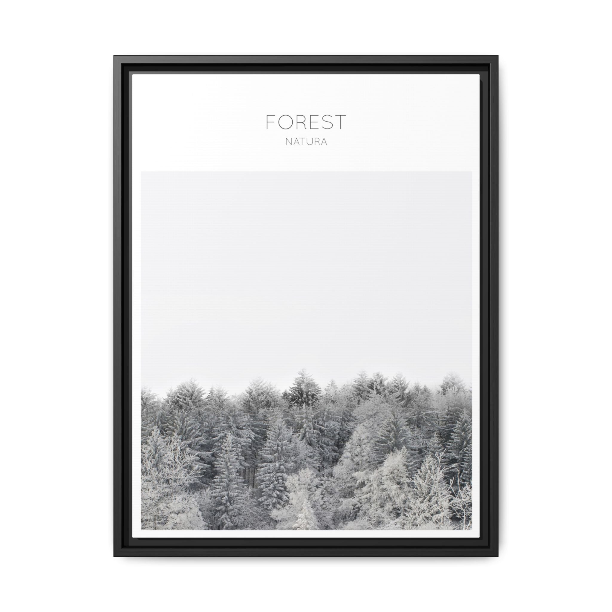 Silent Frost Canopy - Framed
