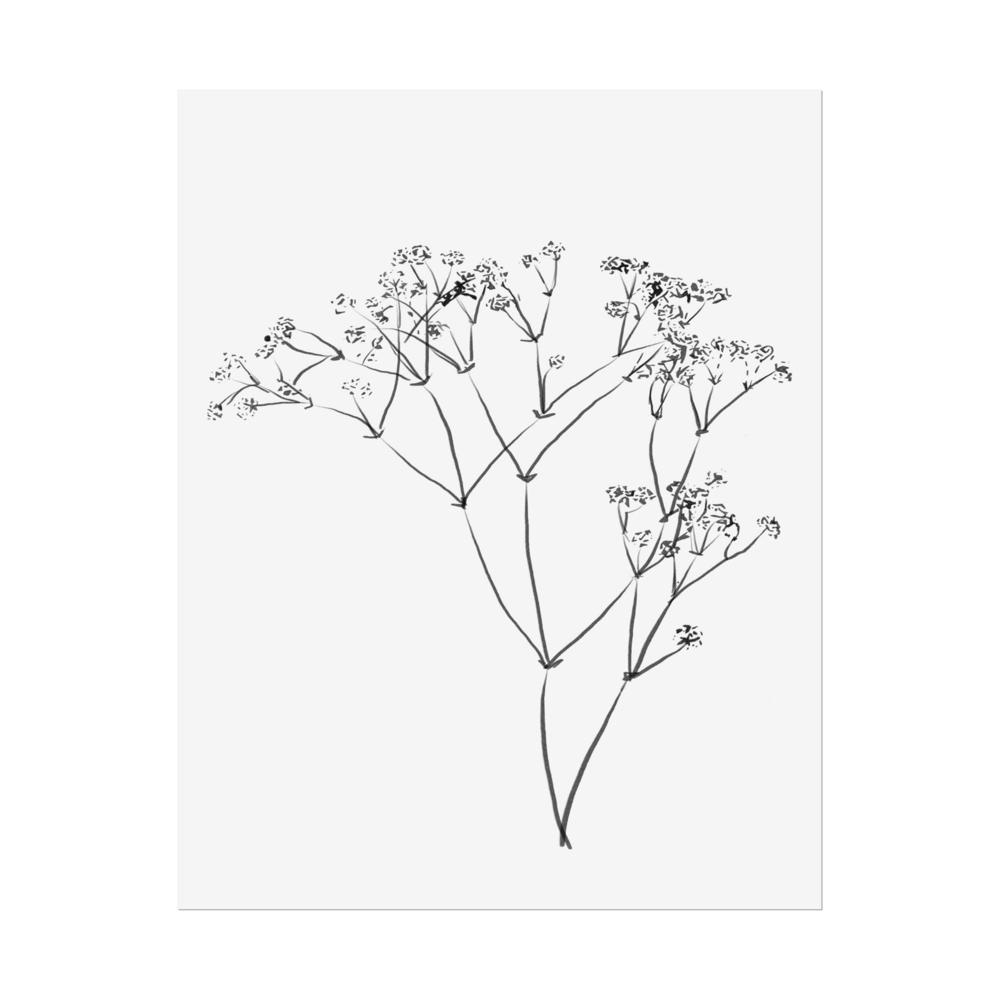 Whispering Meadow Sketch - Poster