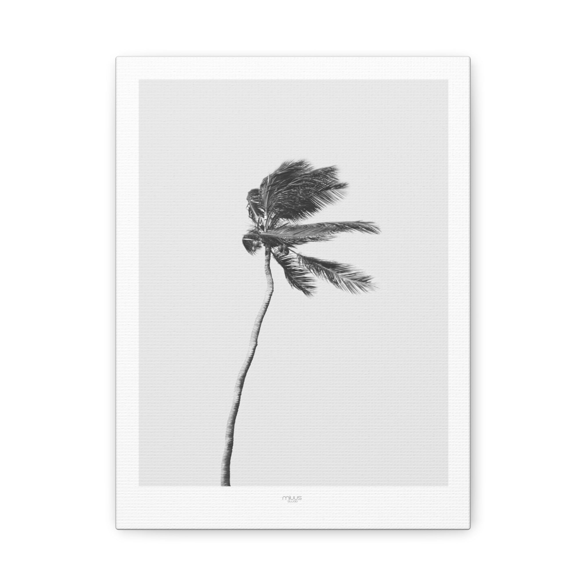 Coastal Silence Sway - Canvas