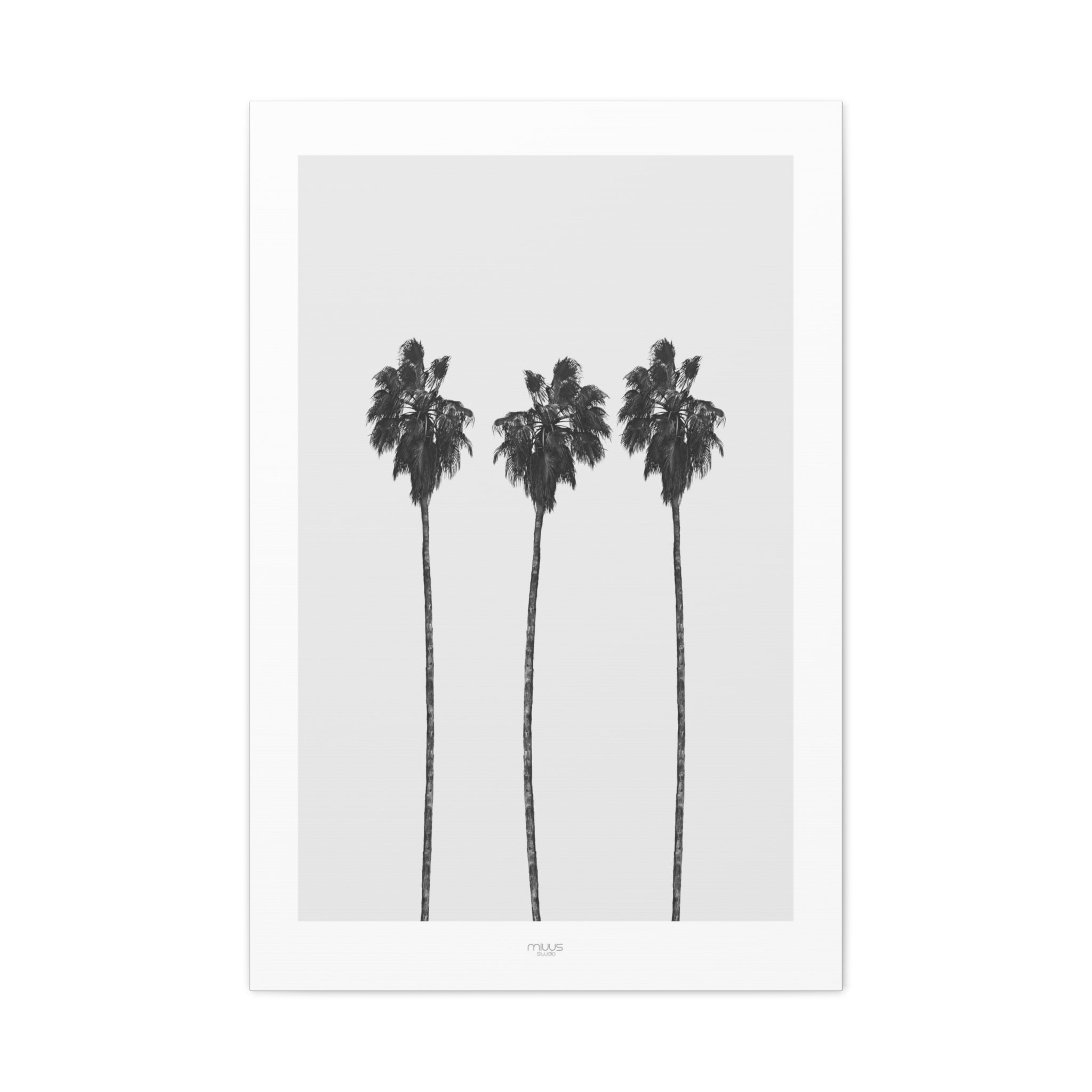 Silver Coast Palm Trio - Canvas
