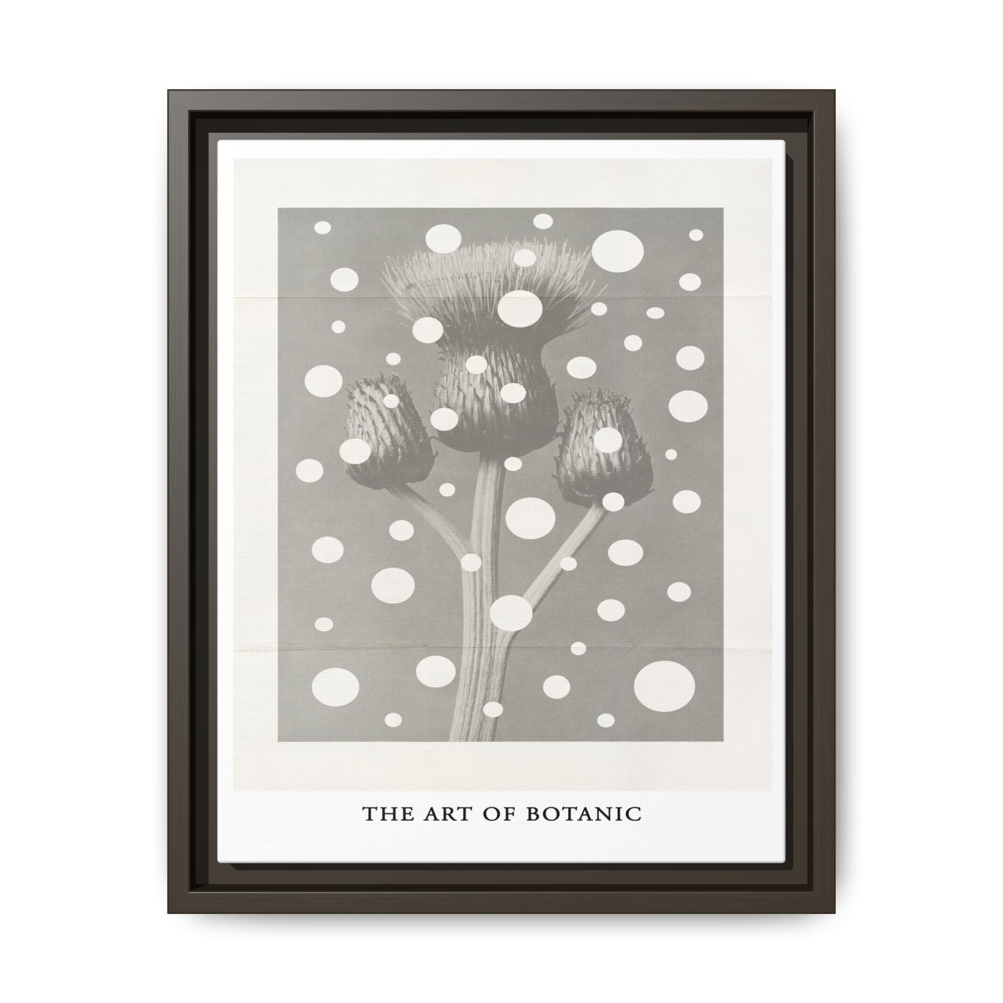 Winter Thistle Reverie - Framed
