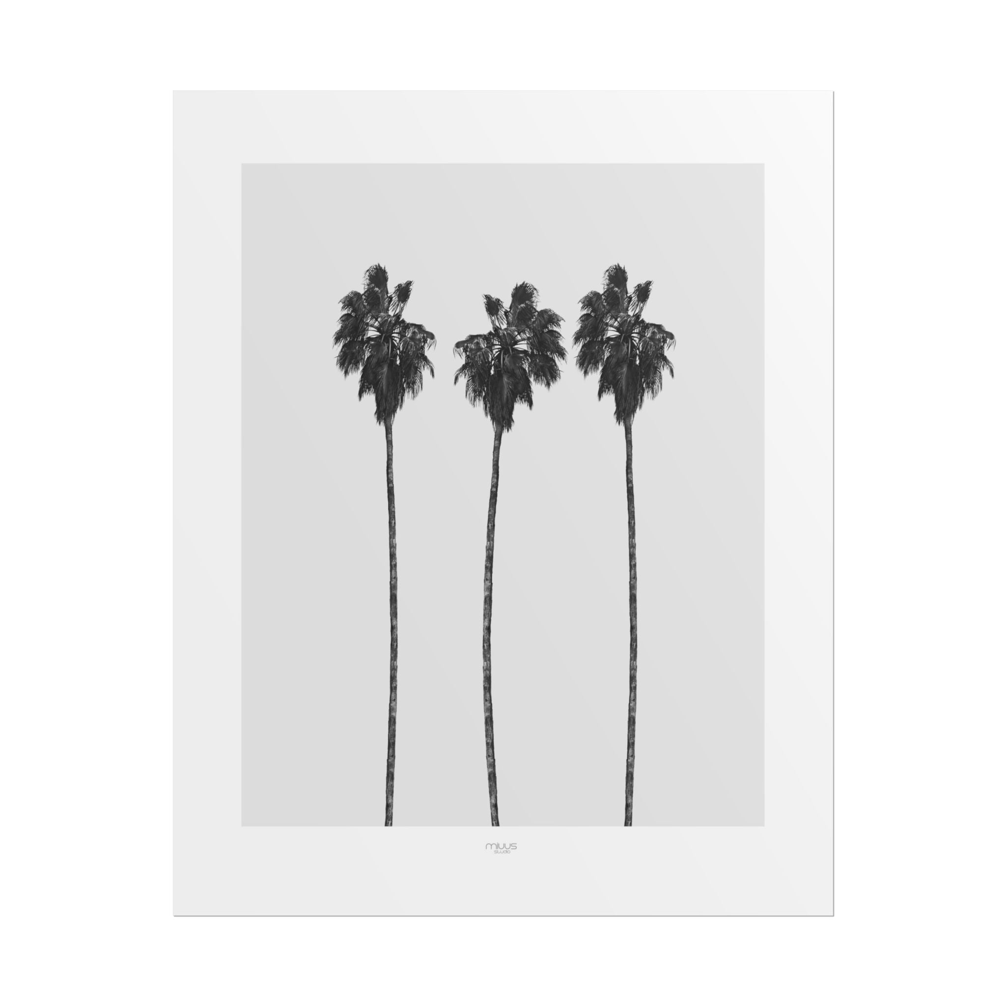 Silver Coast Palm Trio - Poster