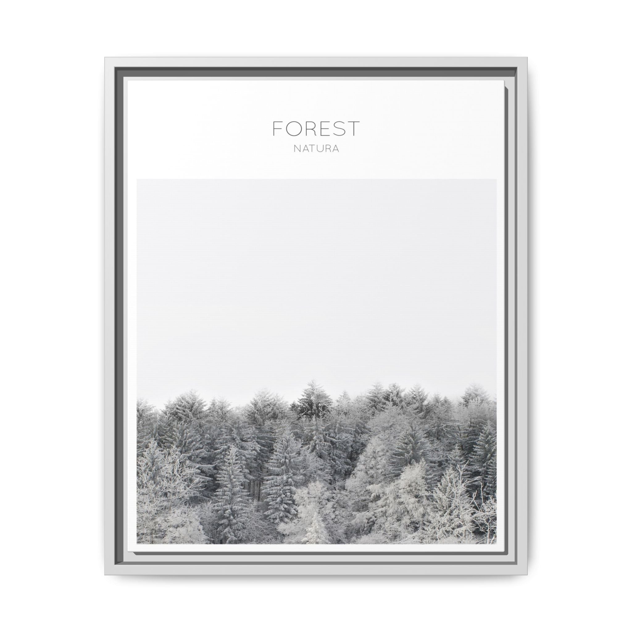 Silent Frost Canopy - Framed