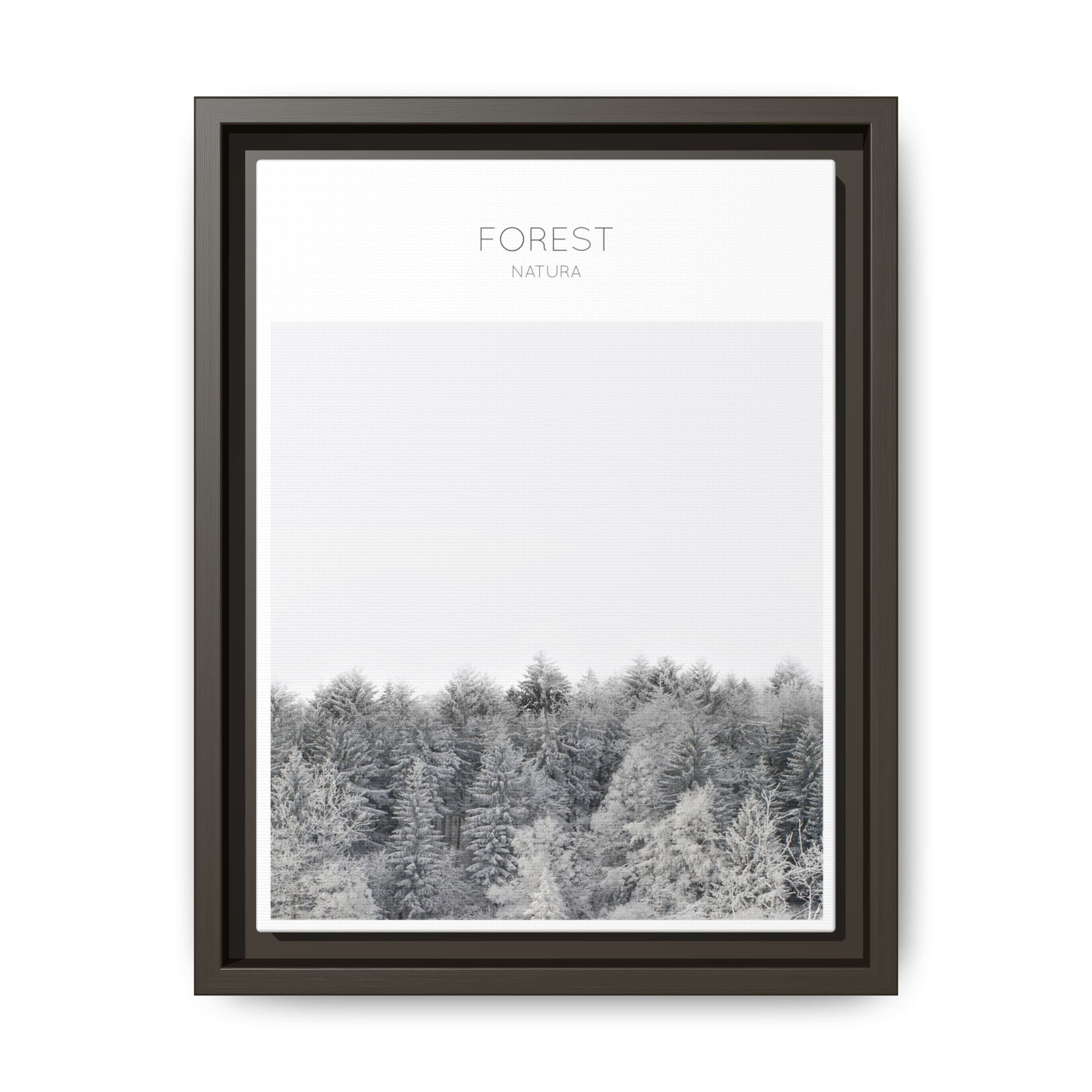 Silent Frost Canopy - Framed