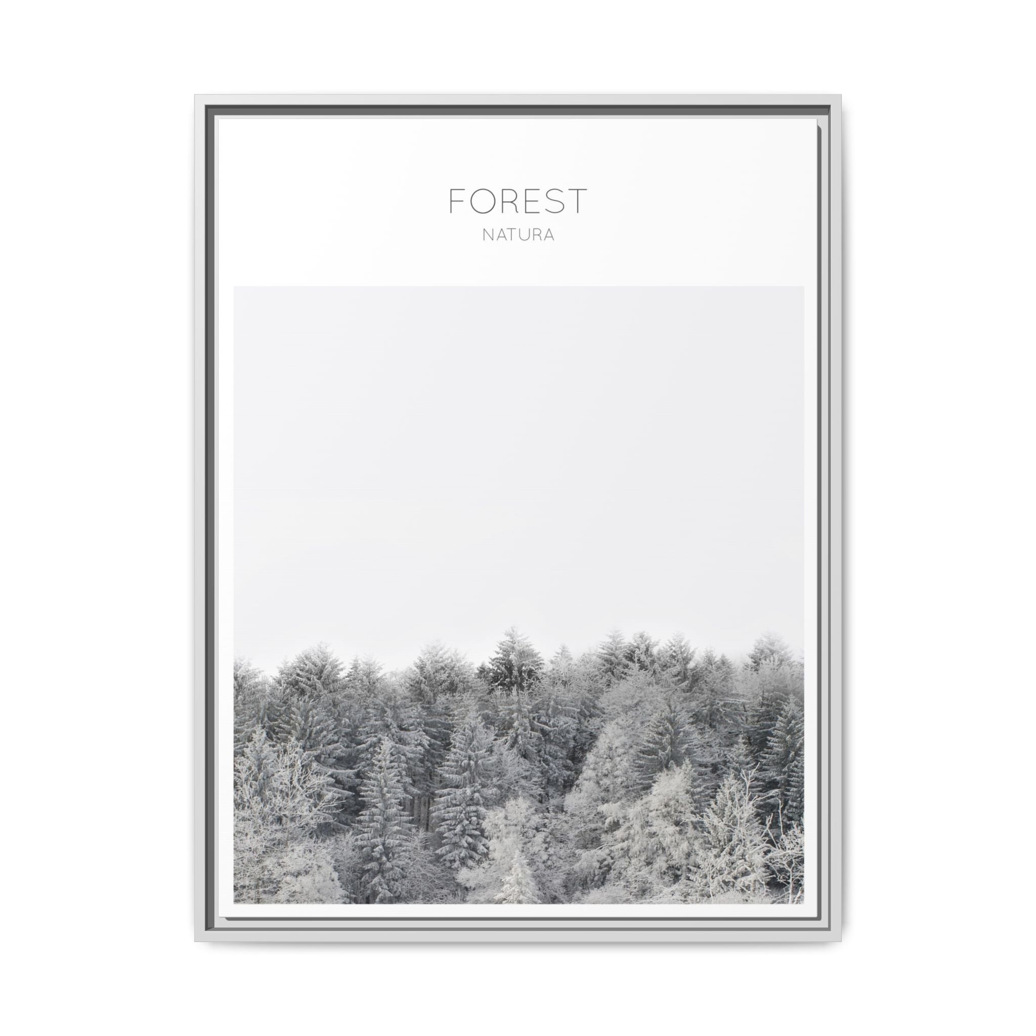 Silent Frost Canopy - Framed