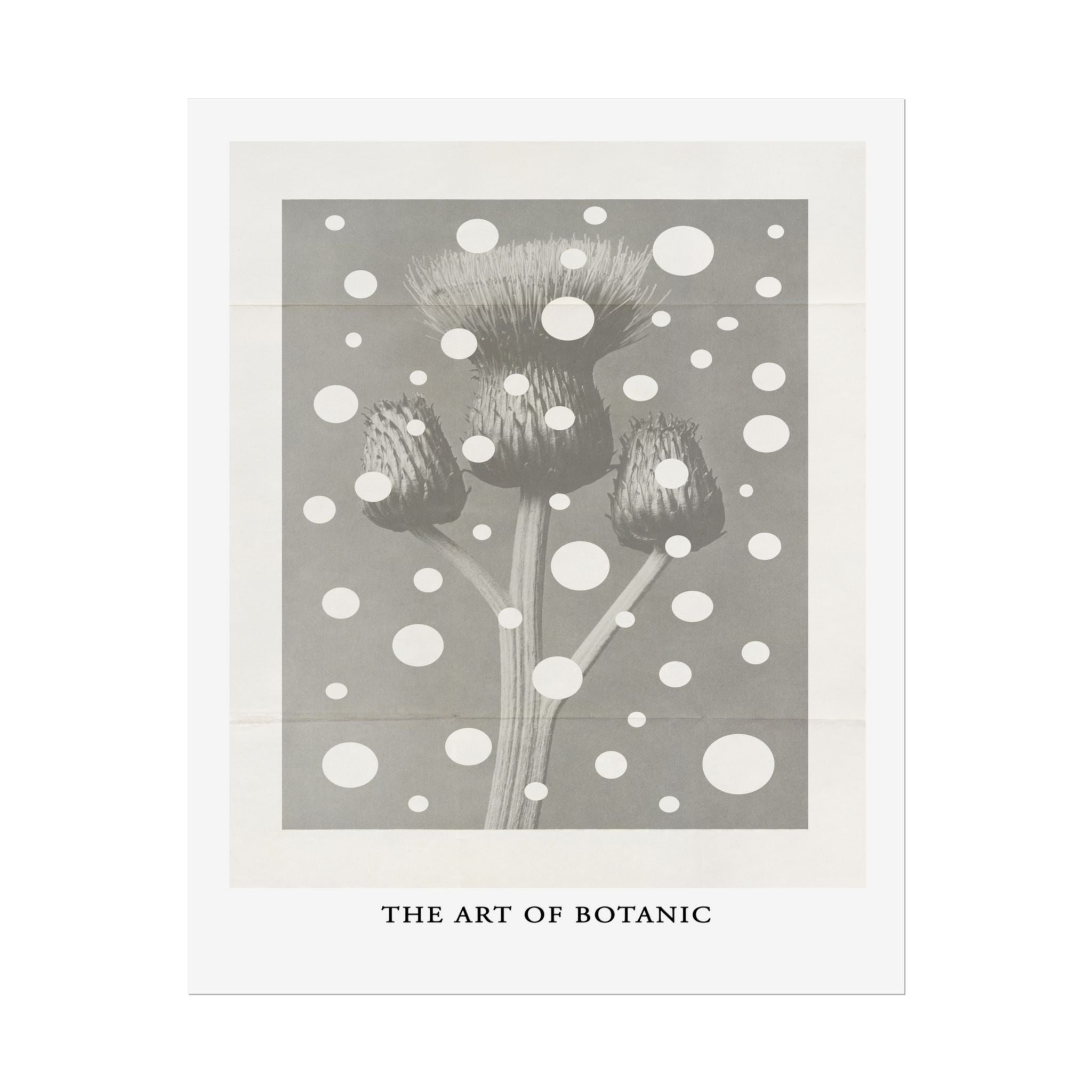 Winter Thistle Reverie - Poster
