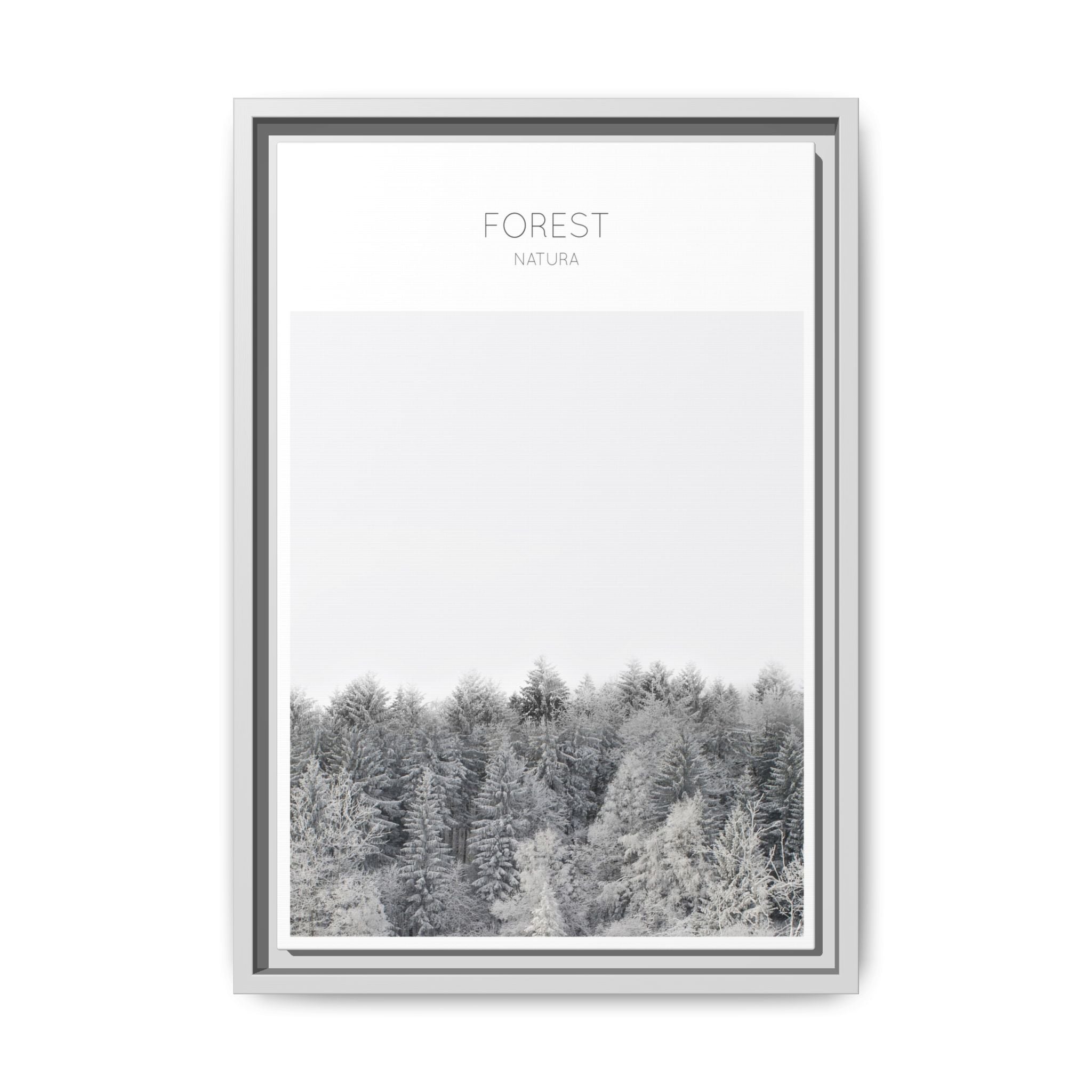 Silent Frost Canopy - Framed