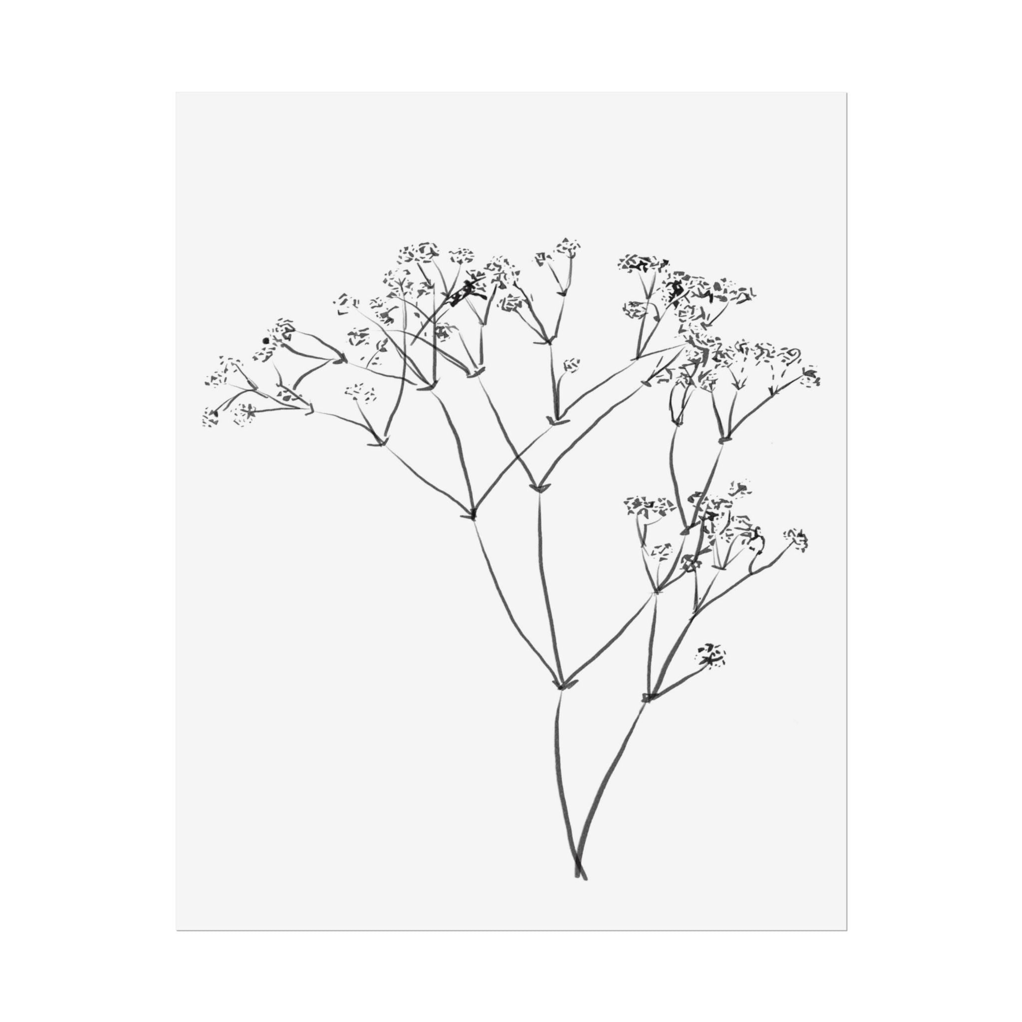 Whispering Meadow Sketch - Poster