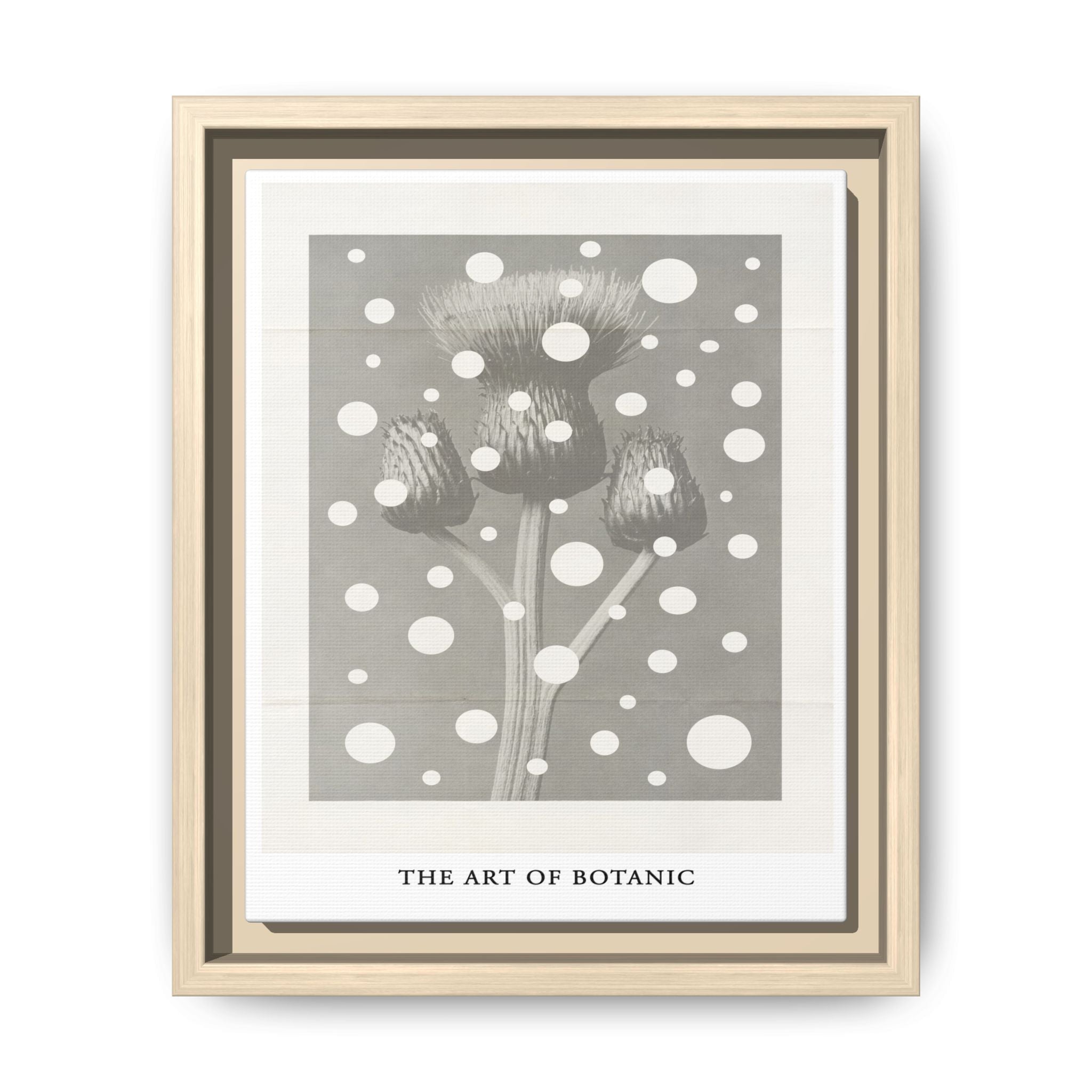 Winter Thistle Reverie - Framed