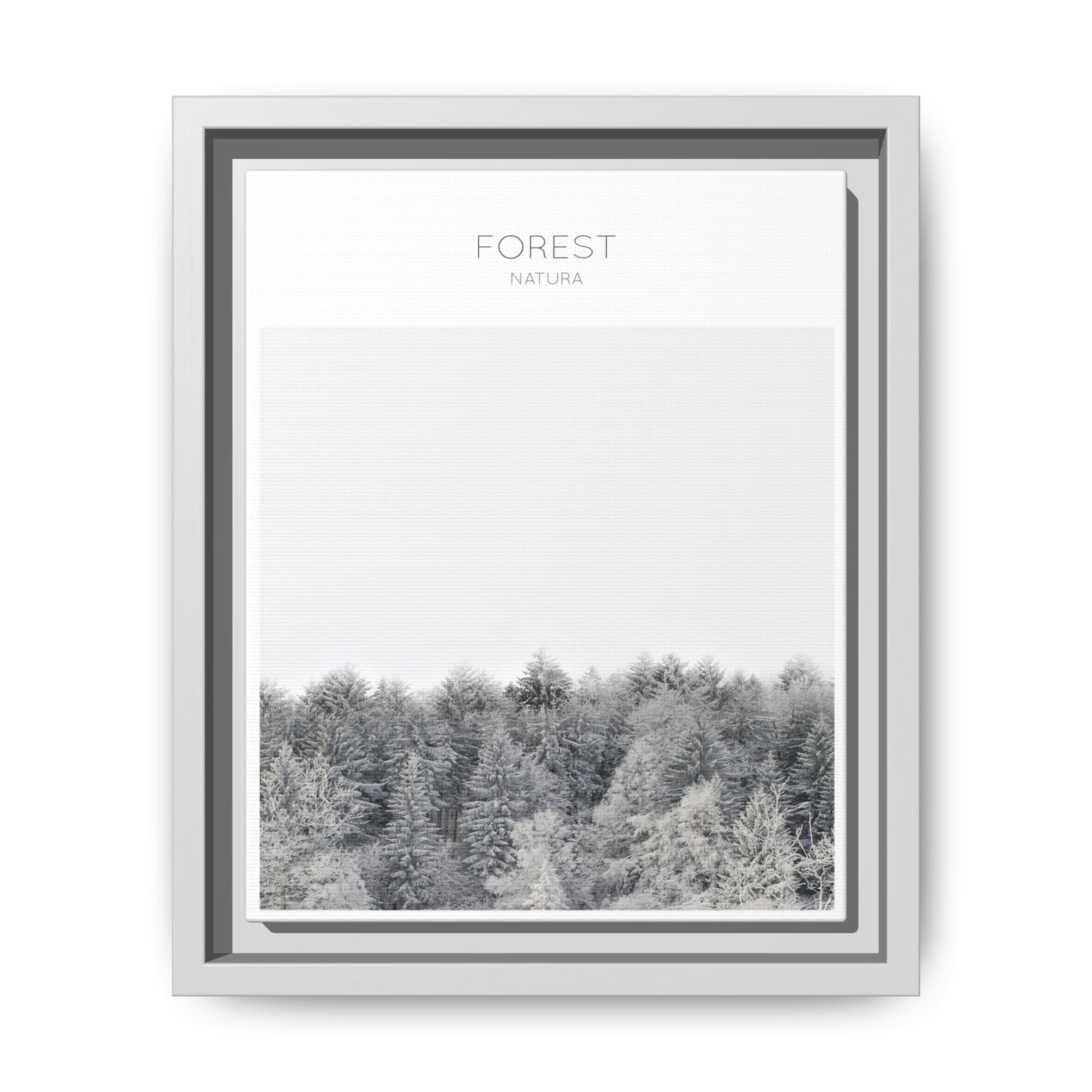 Silent Frost Canopy - Framed