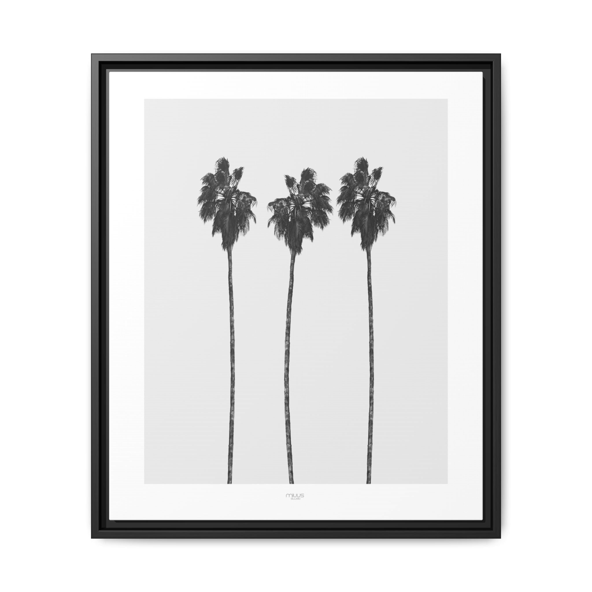 Silver Coast Palm Trio - Framed
