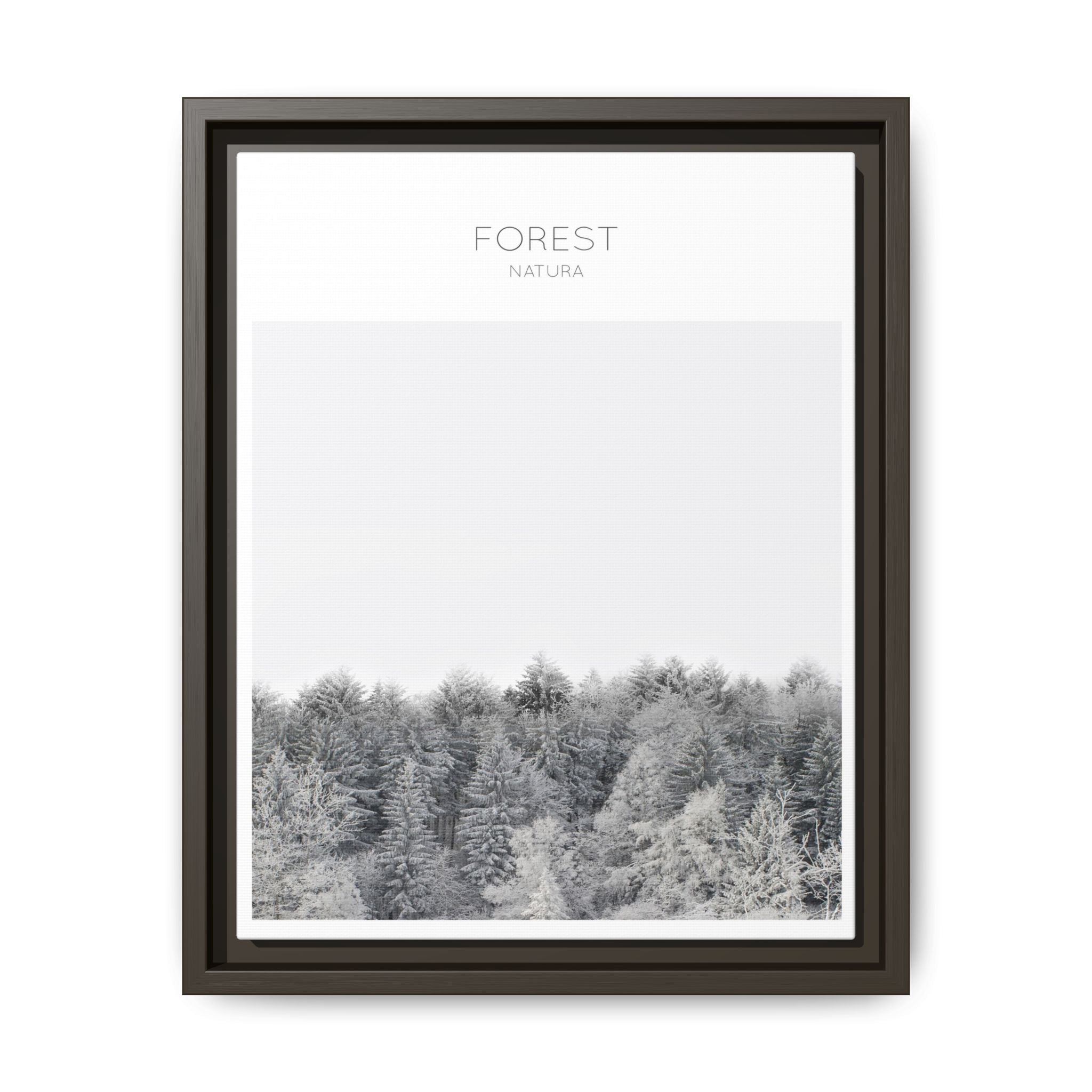 Silent Frost Canopy - Framed