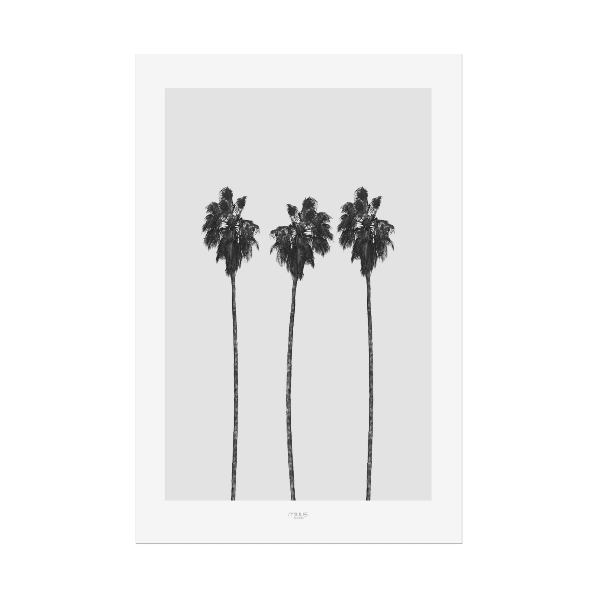 Silver Coast Palm Trio - Poster