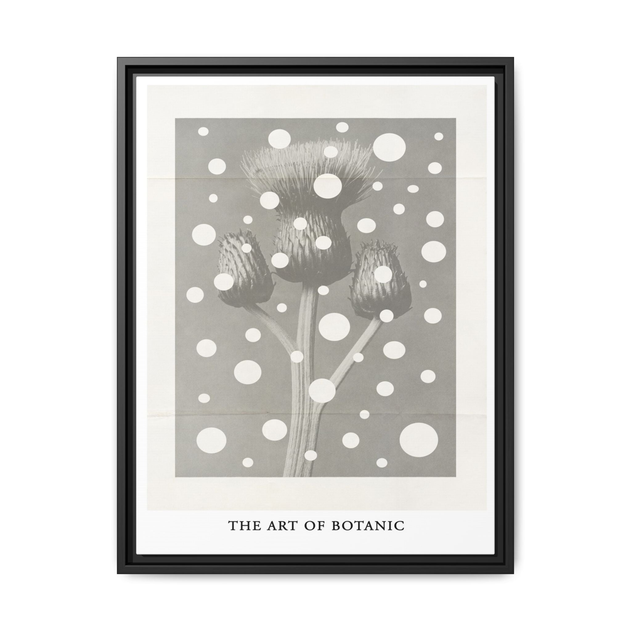 Winter Thistle Reverie - Framed