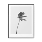 Coastal Silence Sway - Framed
