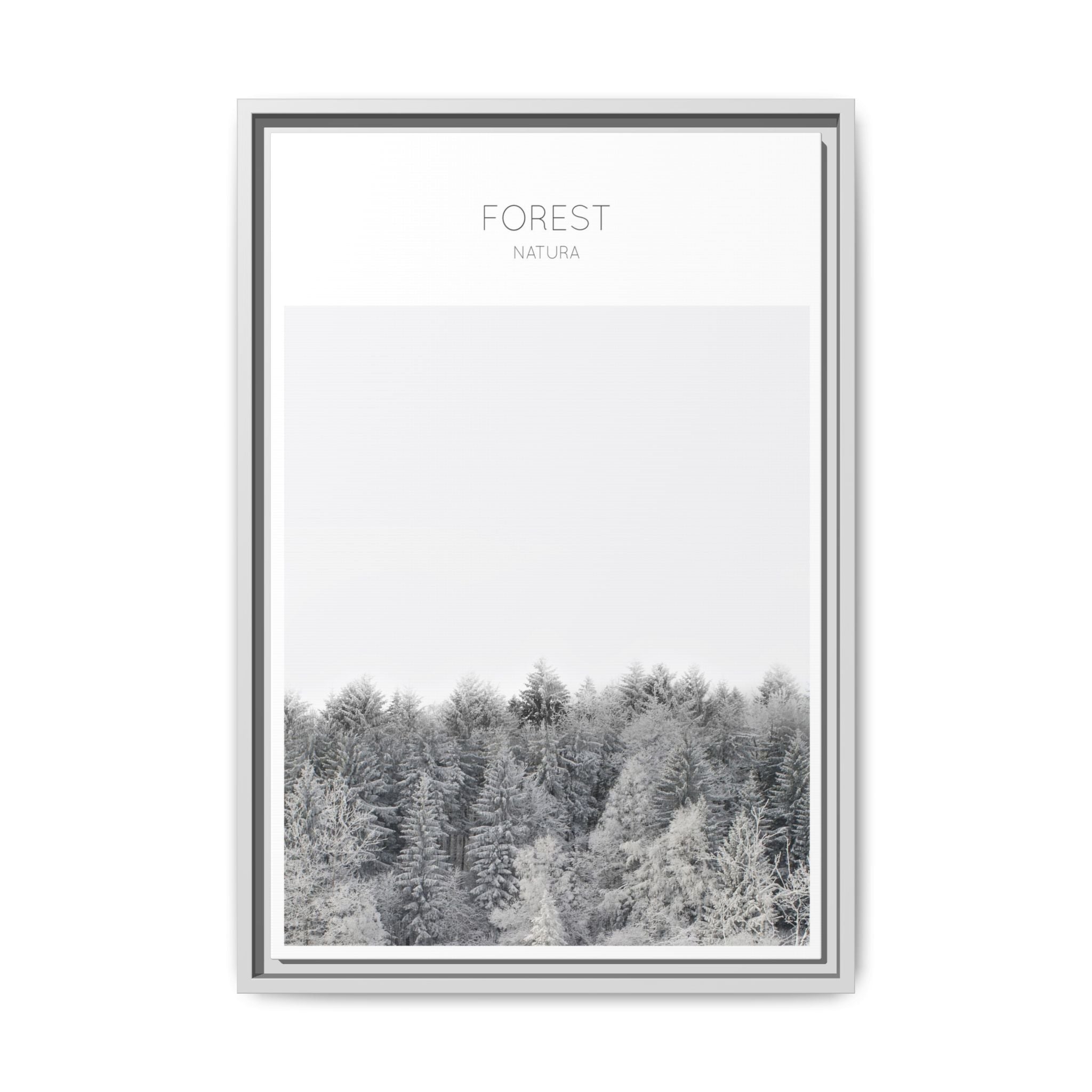 Silent Frost Canopy - Framed