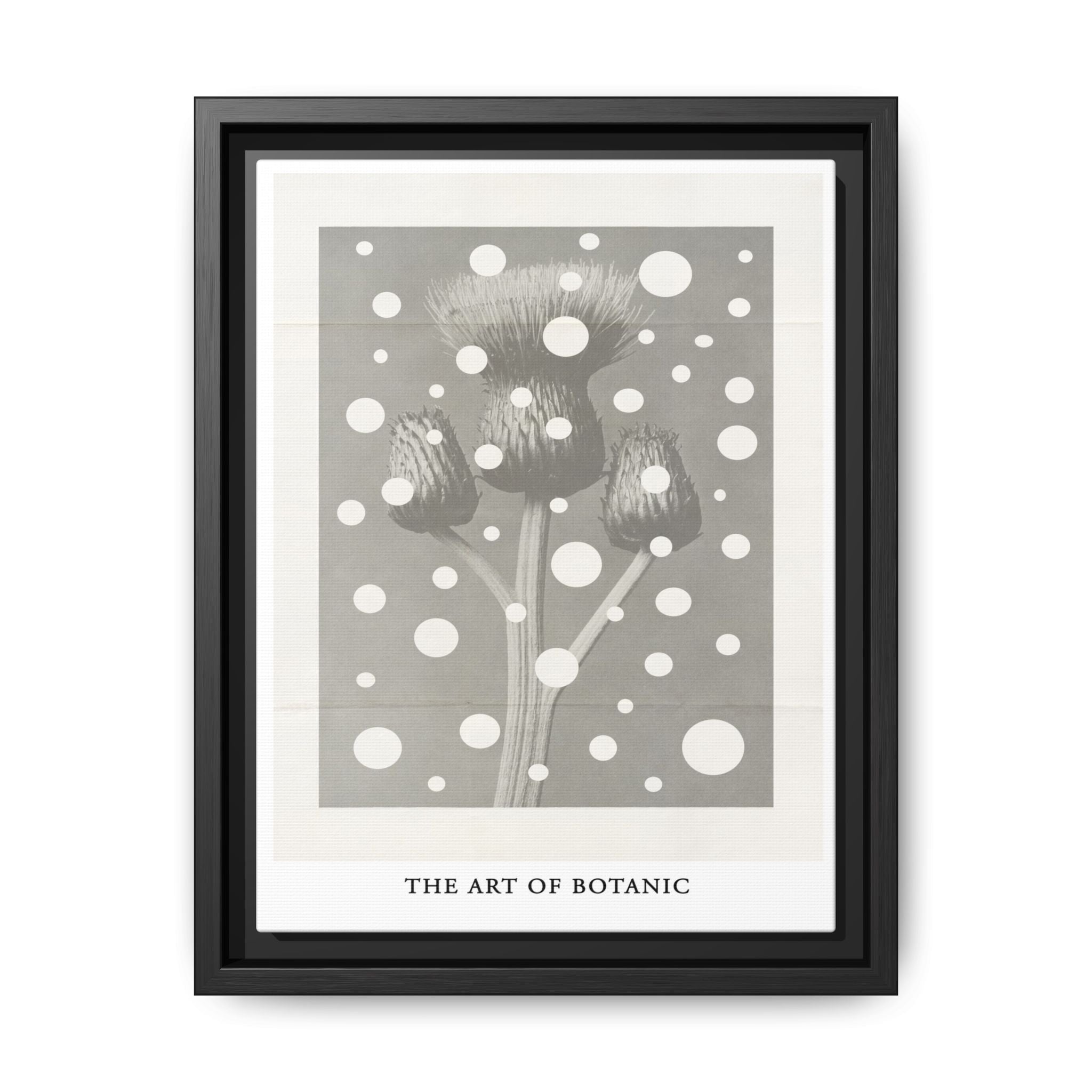 Winter Thistle Reverie - Framed