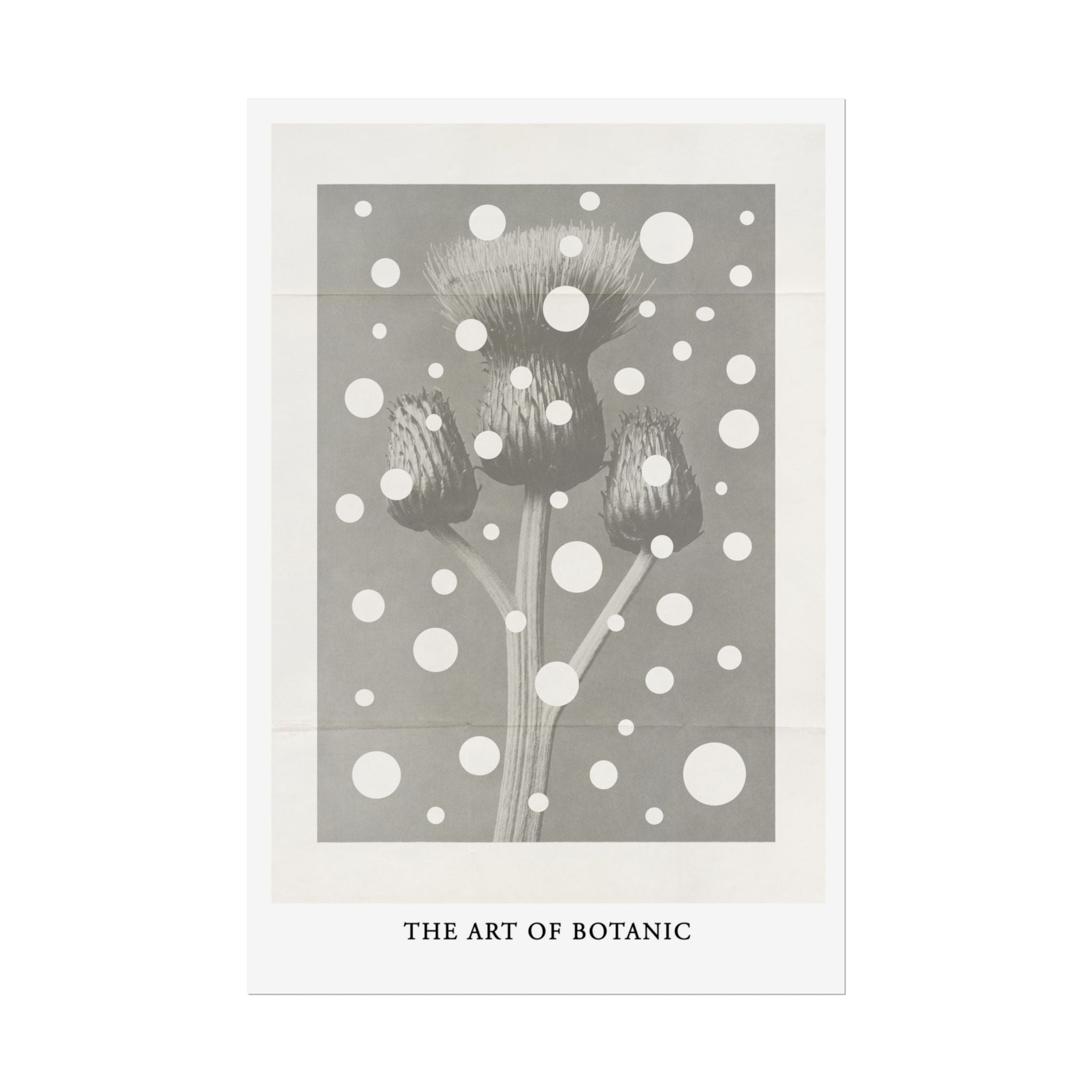 Winter Thistle Reverie - Poster