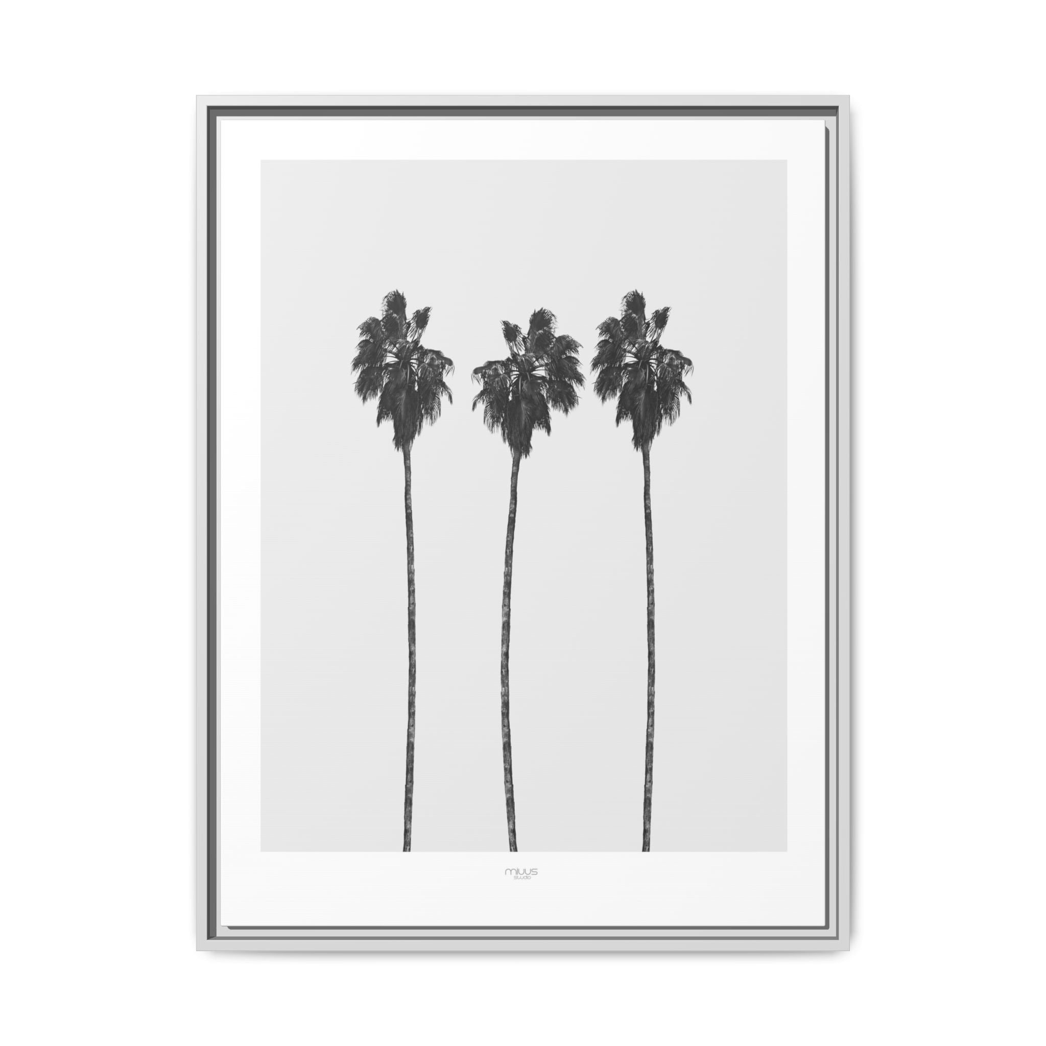 Silver Coast Palm Trio - Framed