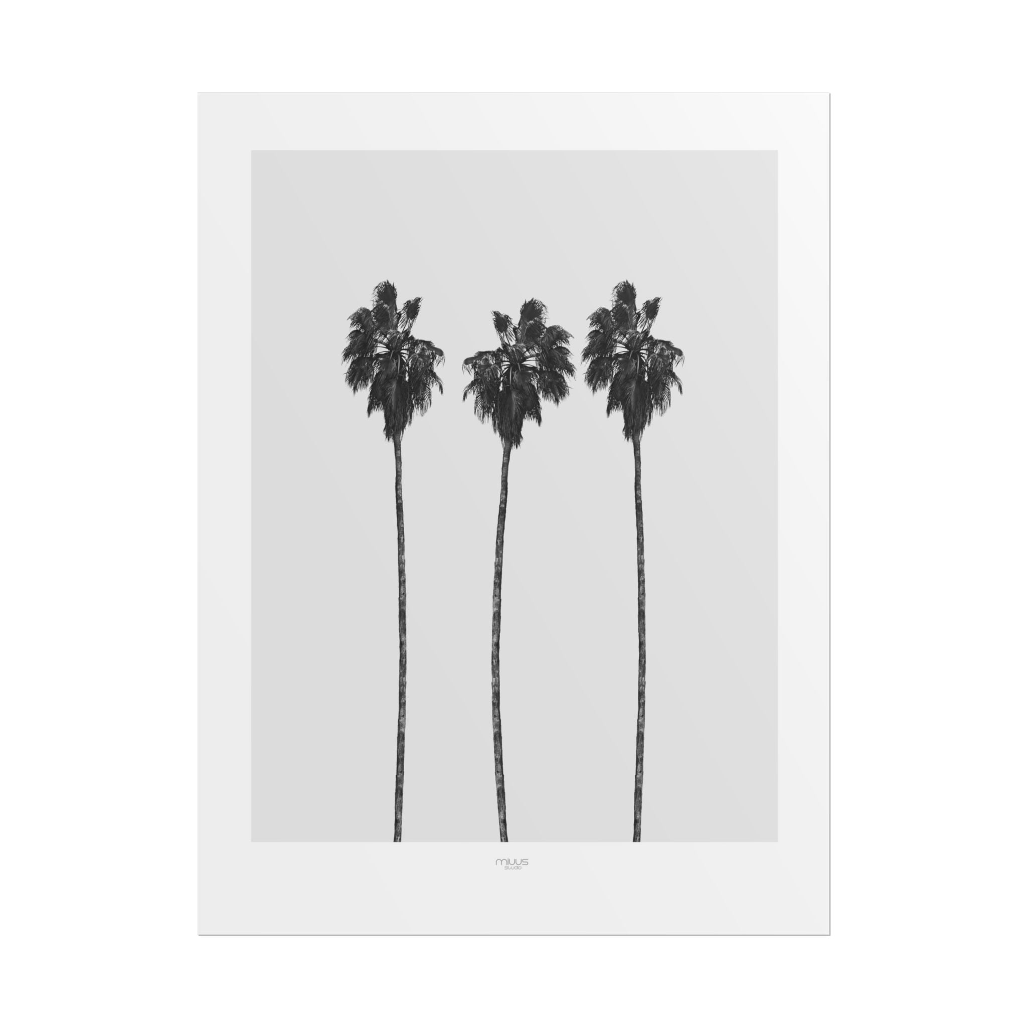Silver Coast Palm Trio - Poster
