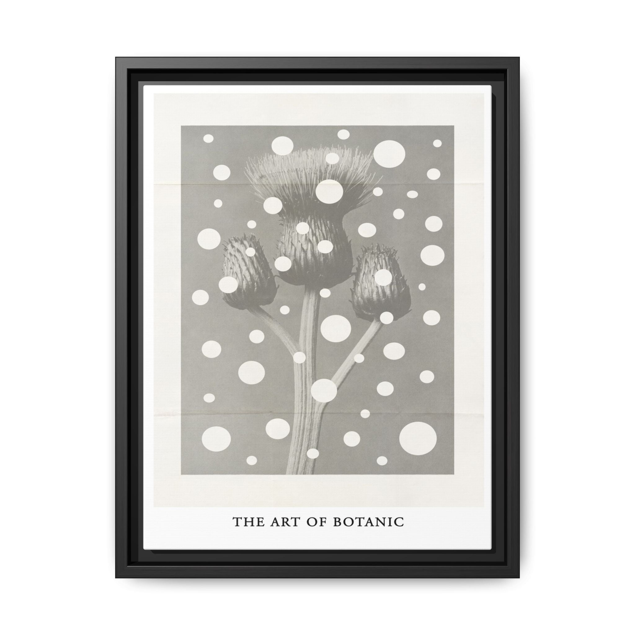 Winter Thistle Reverie - Framed