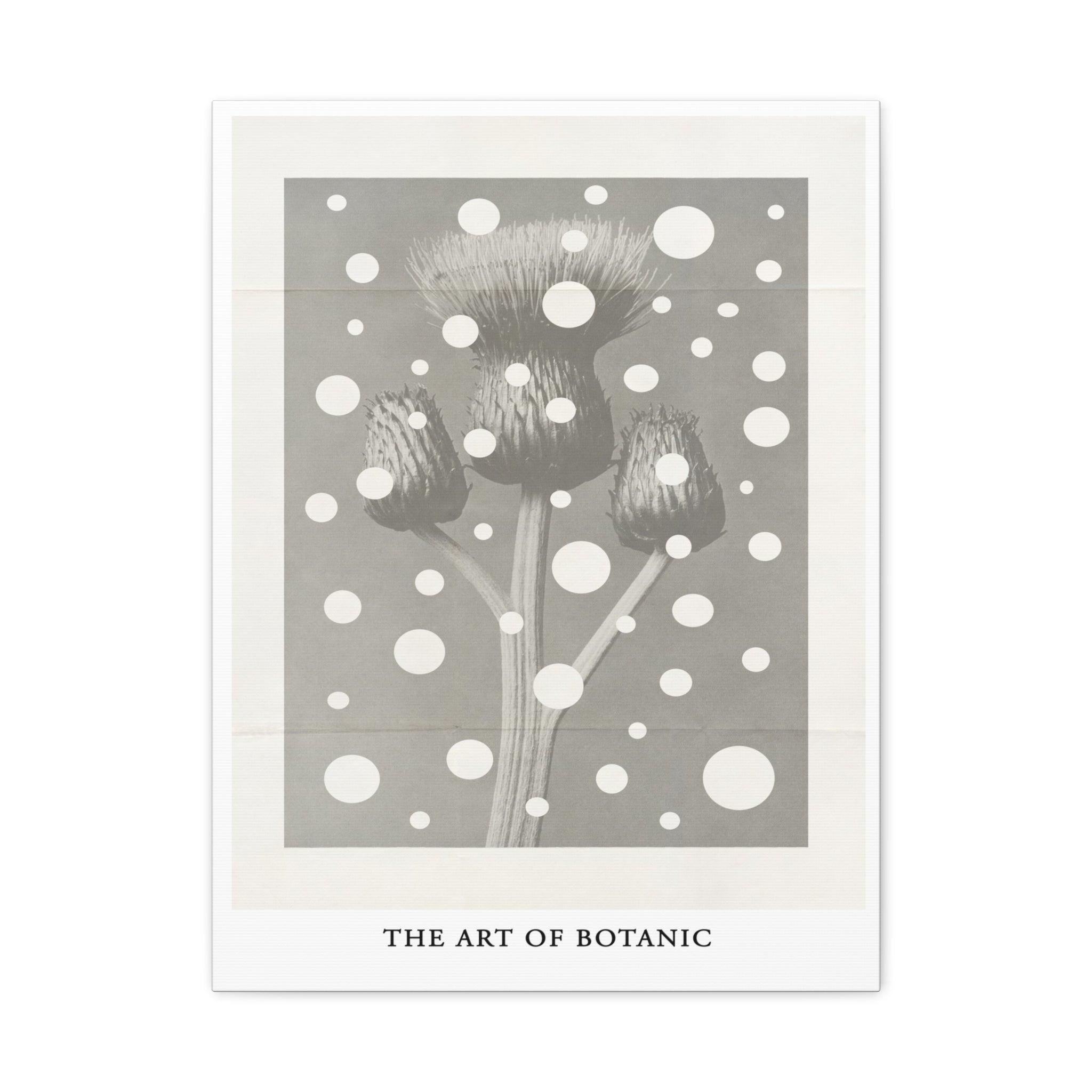 Winter Thistle Reverie - Canvas
